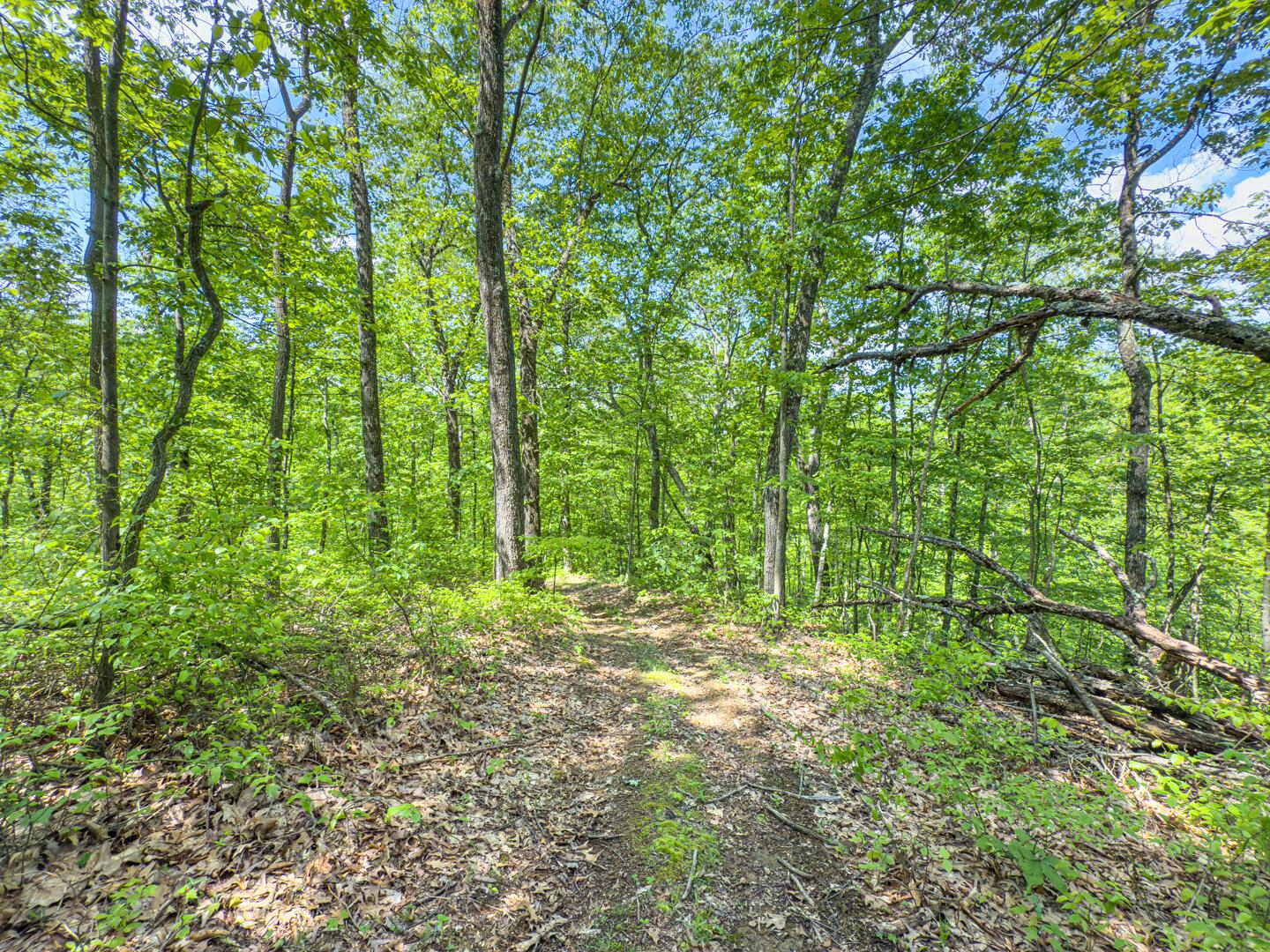 Santoy Road, Corning, Ohio image 43