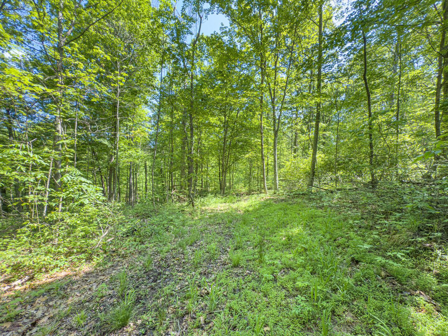 Santoy Road, Corning, Ohio image 39