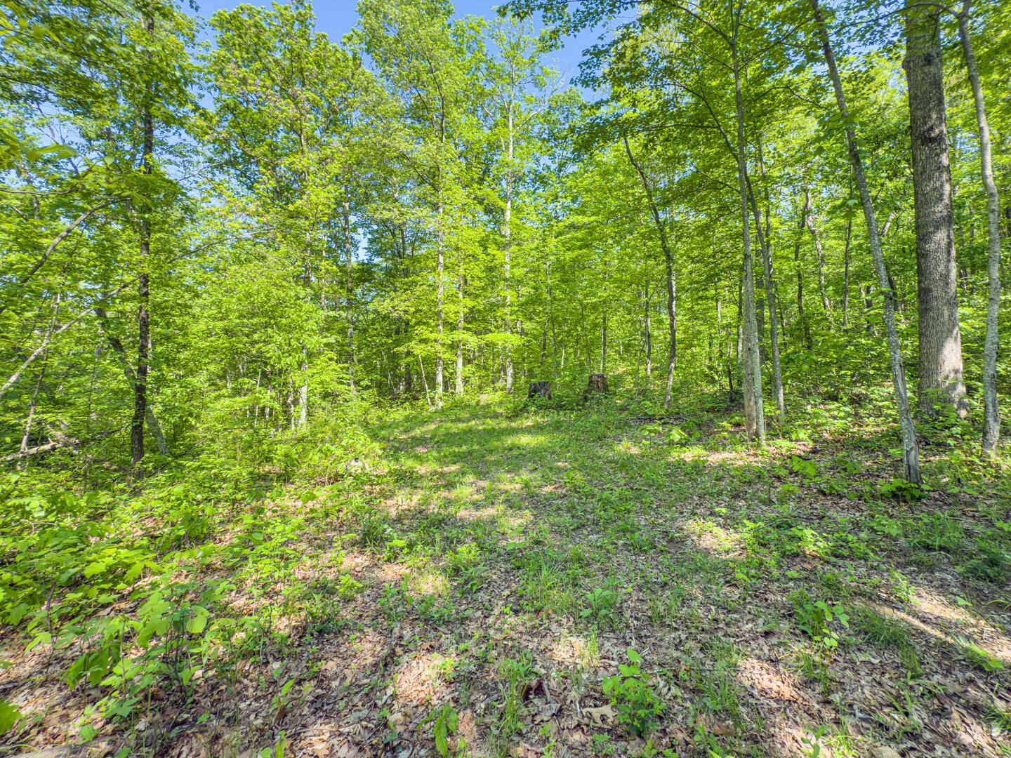 Santoy Road, Corning, Ohio image 32