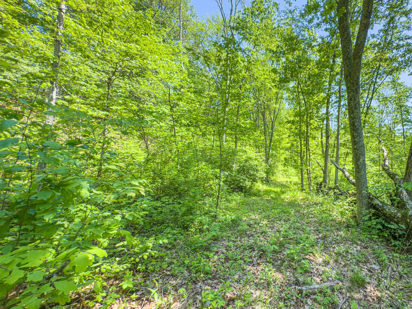 Santoy Road, Corning, Ohio image 30