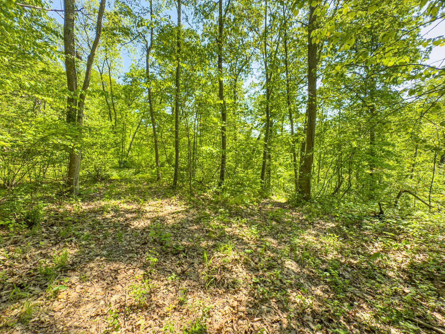 Santoy Road, Corning, Ohio image 34