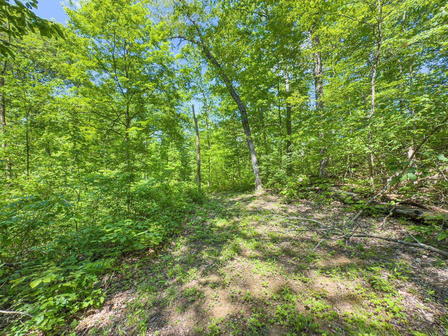 Santoy Road, Corning, Ohio image 40