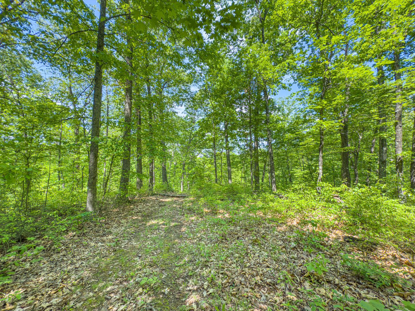 Santoy Road, Corning, Ohio image 42