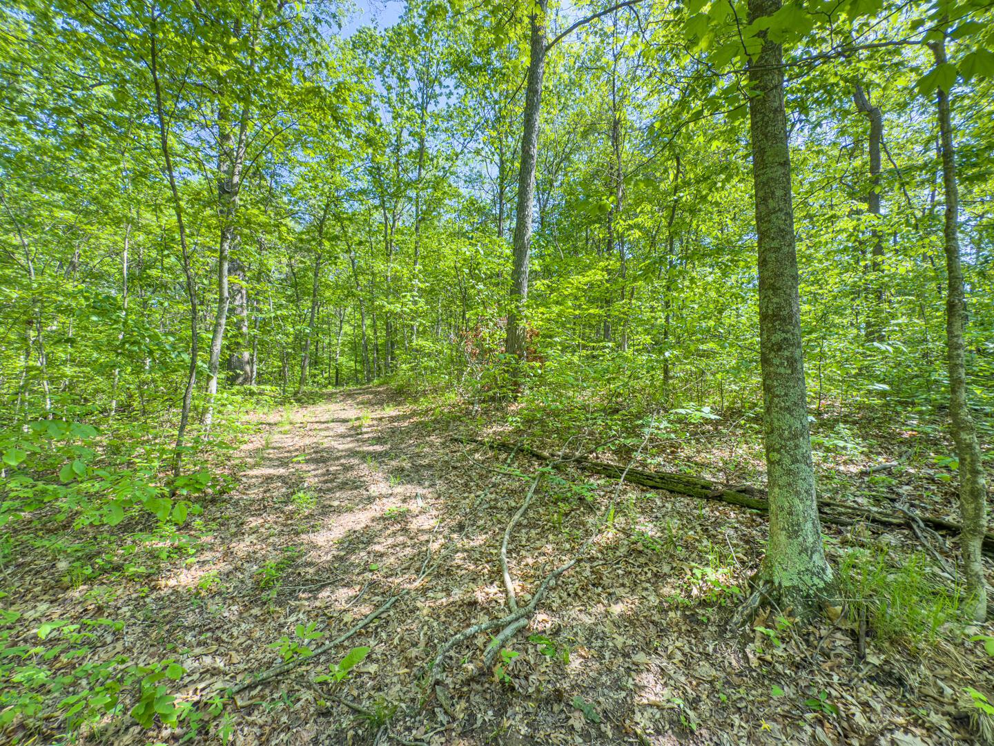 Santoy Road, Corning, Ohio image 33