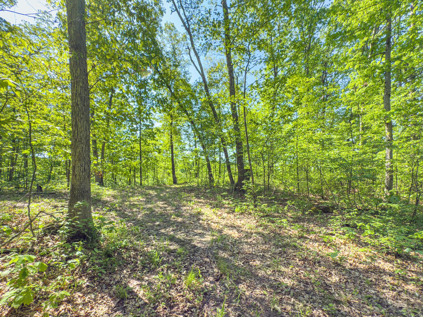 Santoy Road, Corning, Ohio image 31