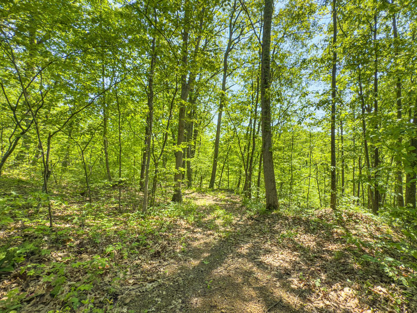 Santoy Road, Corning, Ohio image 25