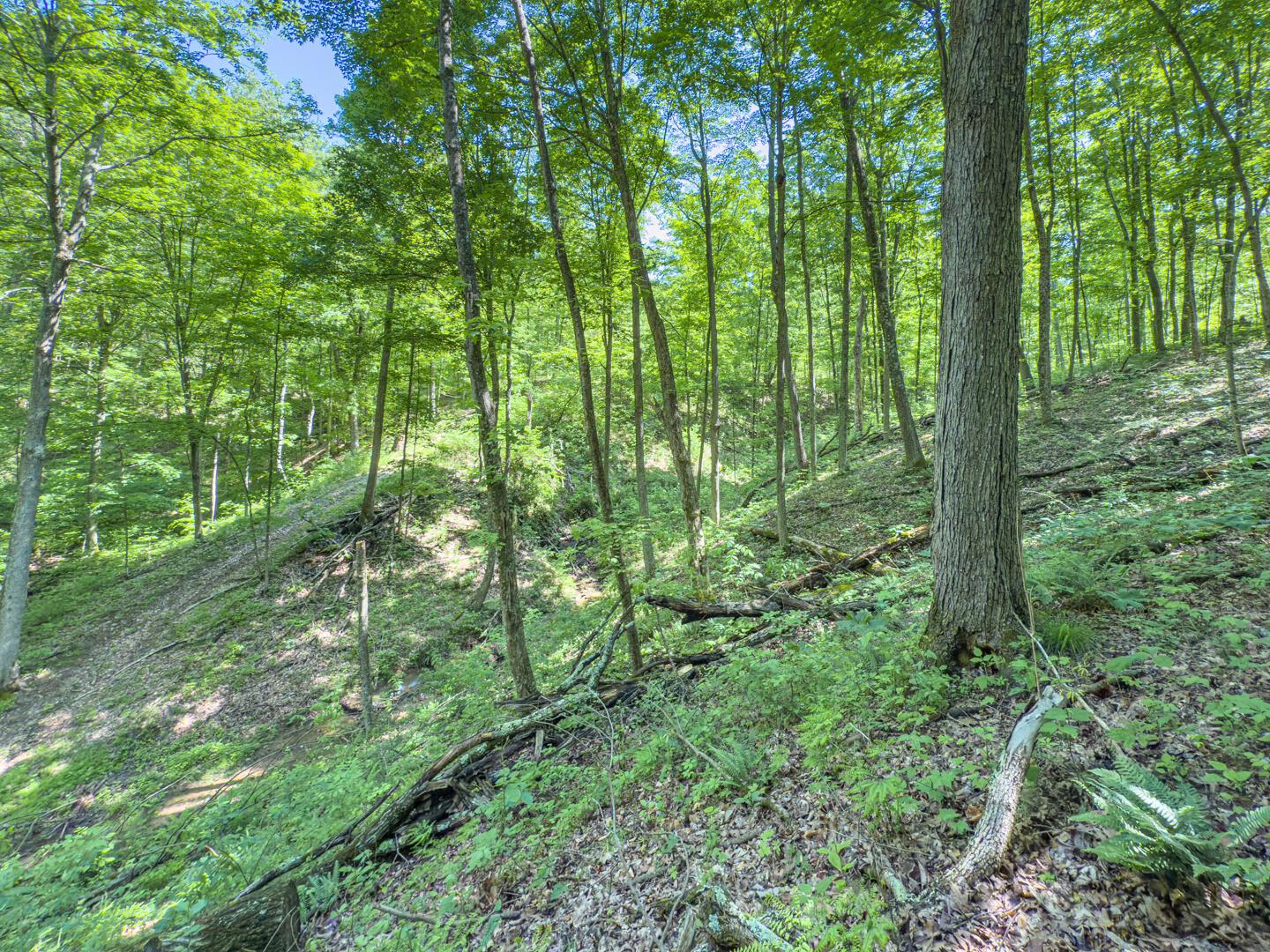 Santoy Road, Corning, Ohio image 37