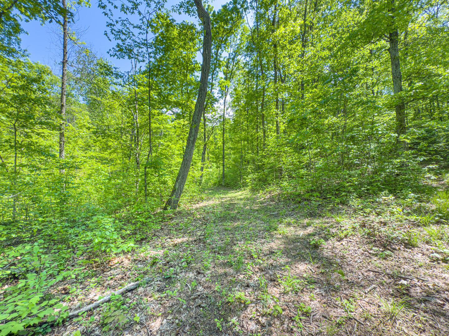 Santoy Road, Corning, Ohio image 41