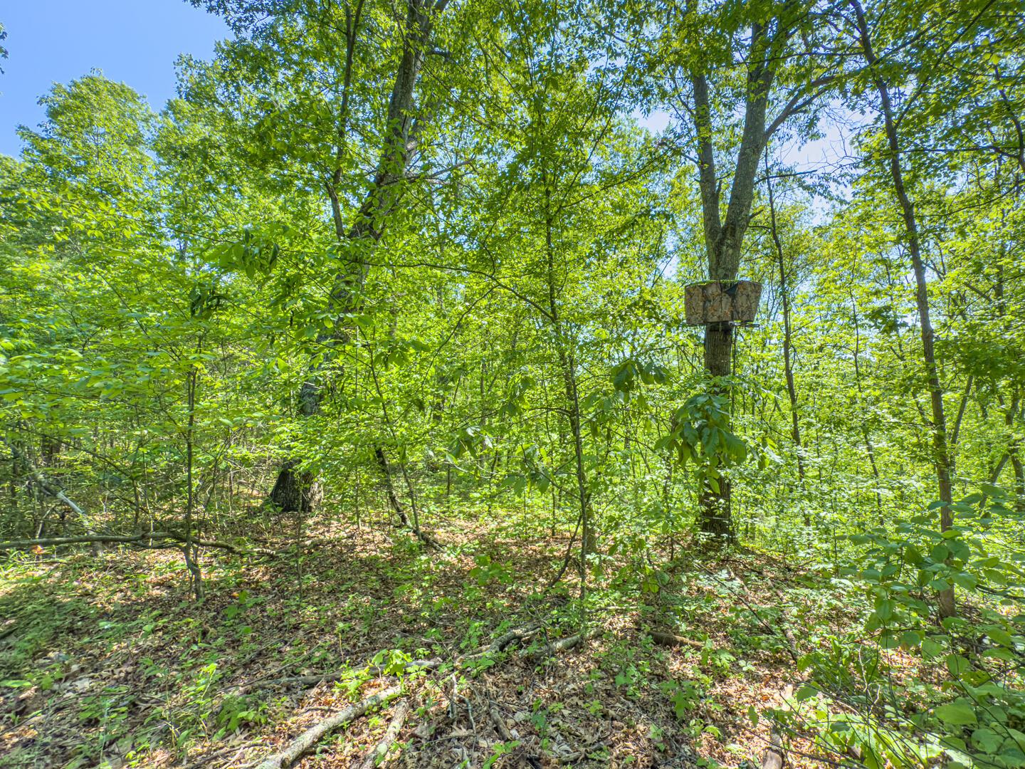 Santoy Road, Corning, Ohio image 22