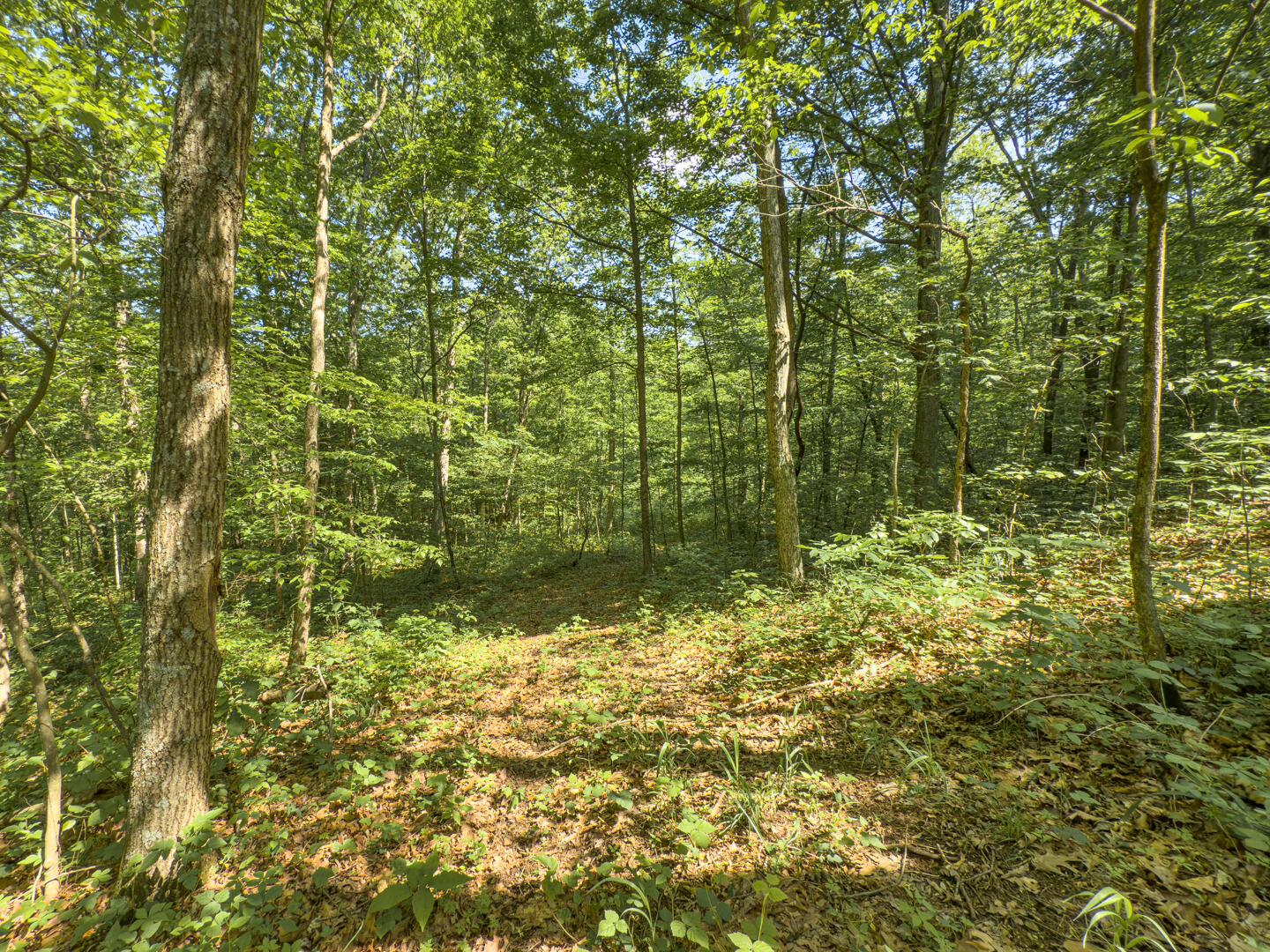 Santoy Road, Corning, Ohio image 35