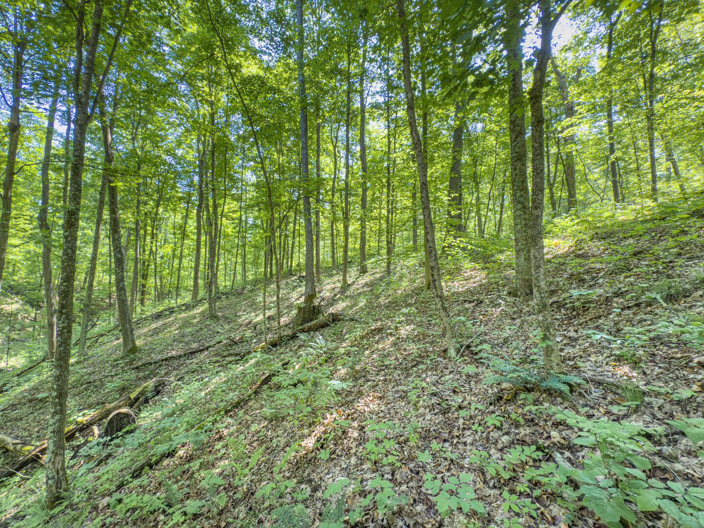 Santoy Road, Corning, Ohio image 38