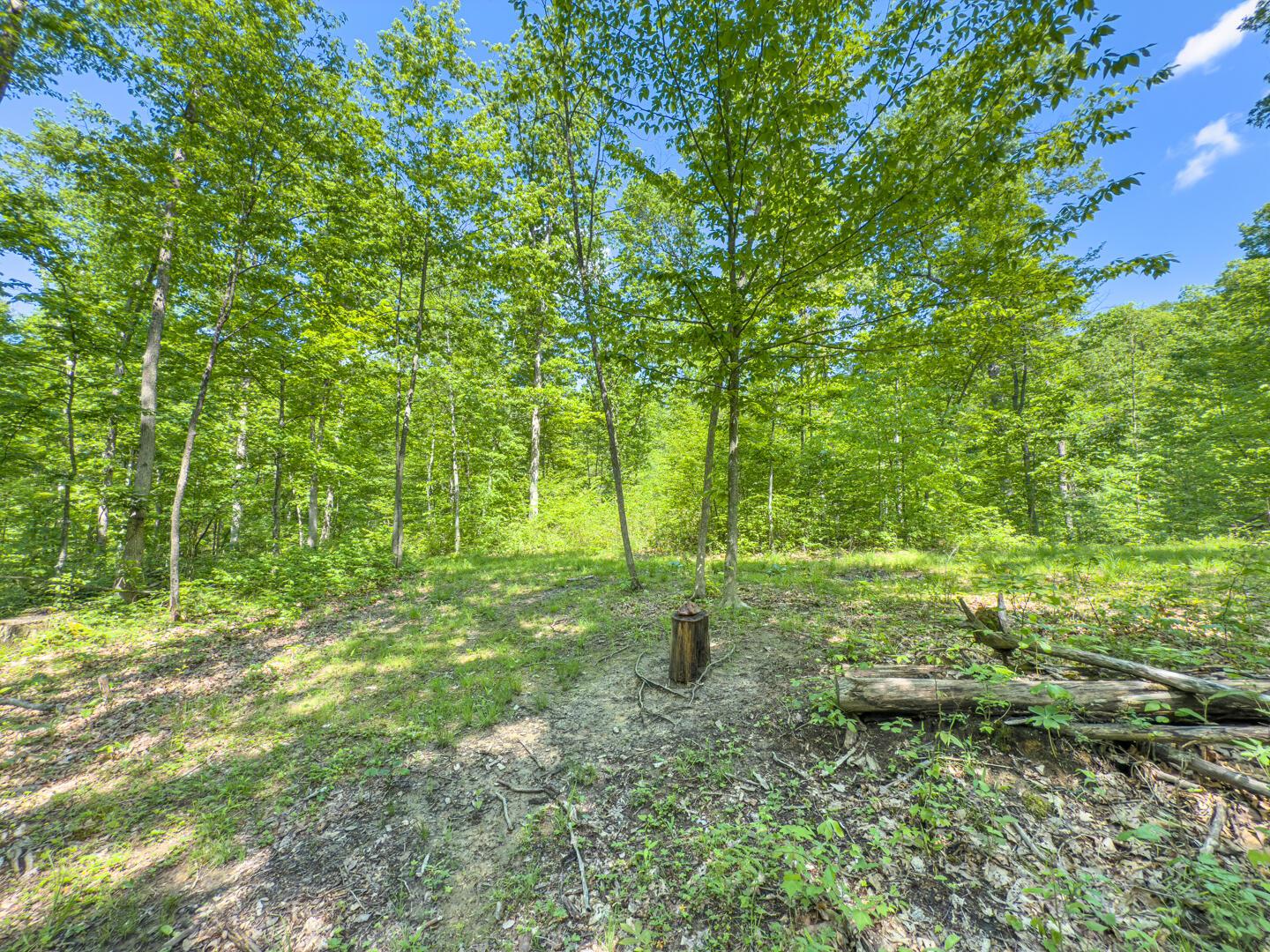 Santoy Road, Corning, Ohio image 23