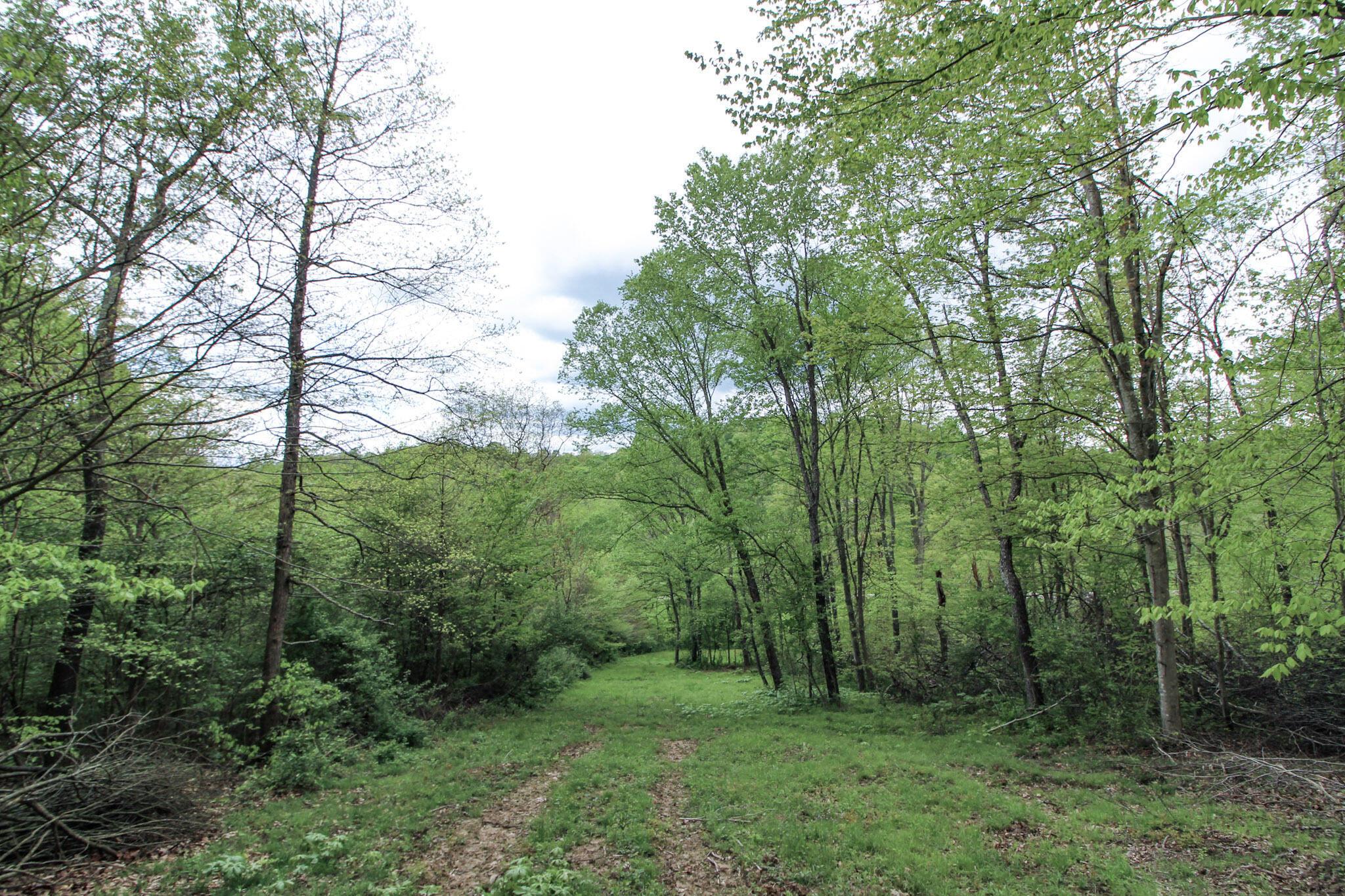 Tract 3 State Route 668, Logan, Ohio image 26