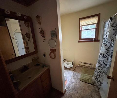 Tiny photo for 602 E Cliff Street, Baltimore, OH 43105 (MLS # 225045294)