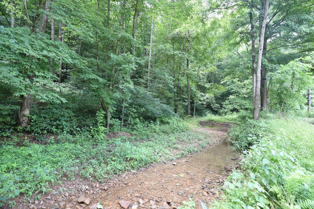 Photo of 23769 State Route 327, Laurelville, OH 43135 (MLS # 226020618)