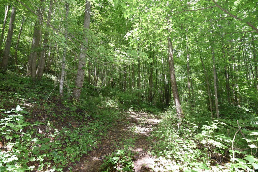 Photo of 23769 State Route 327, Laurelville, OH 43135 (MLS # 226020618)