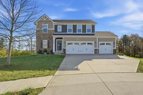 Photo of 10073 Wintercreeper Court, Plain City, OH 43064 (MLS # 225042198)