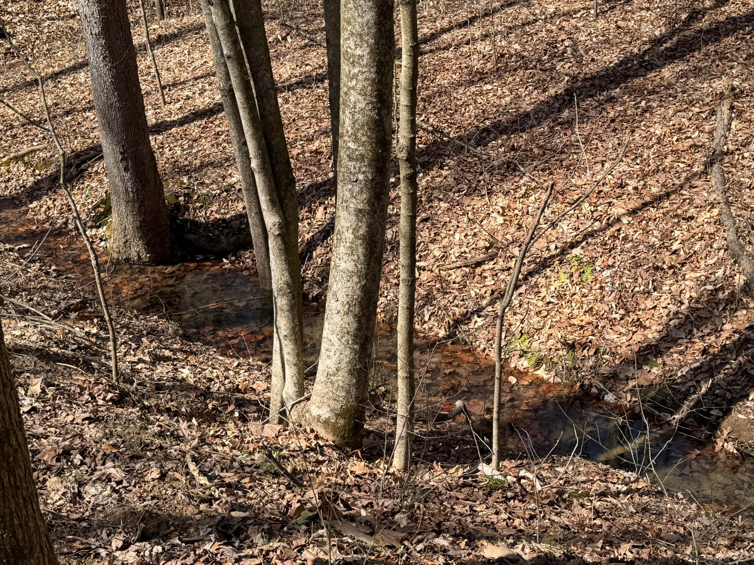 Township Rd 215-a #TRACT 5 AT SHAWNEE WOODS, Corning, Ohio image 20