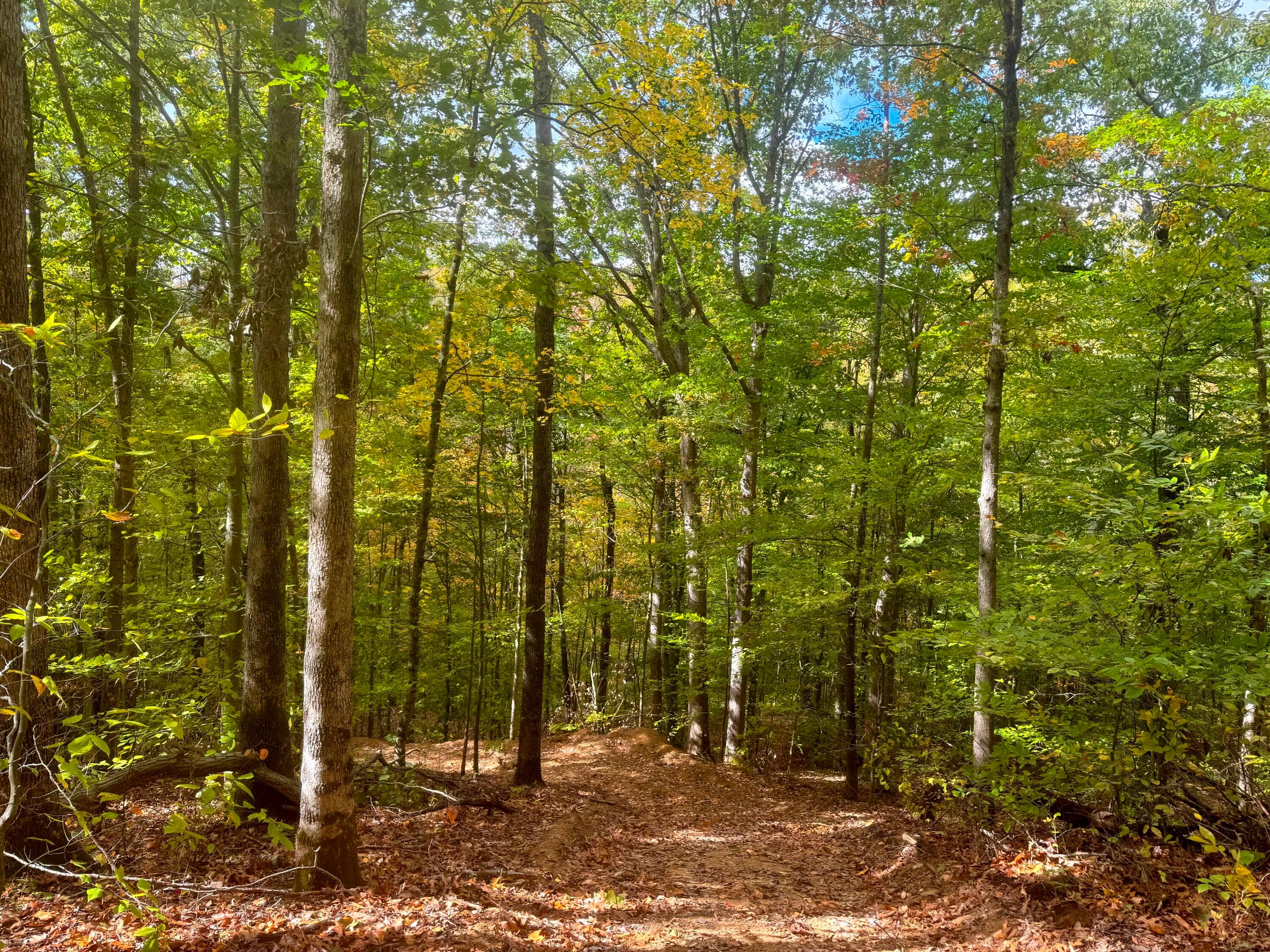 Township Rd 215-a #TRACT 5 AT SHAWNEE WOODS, Corning, Ohio image 16