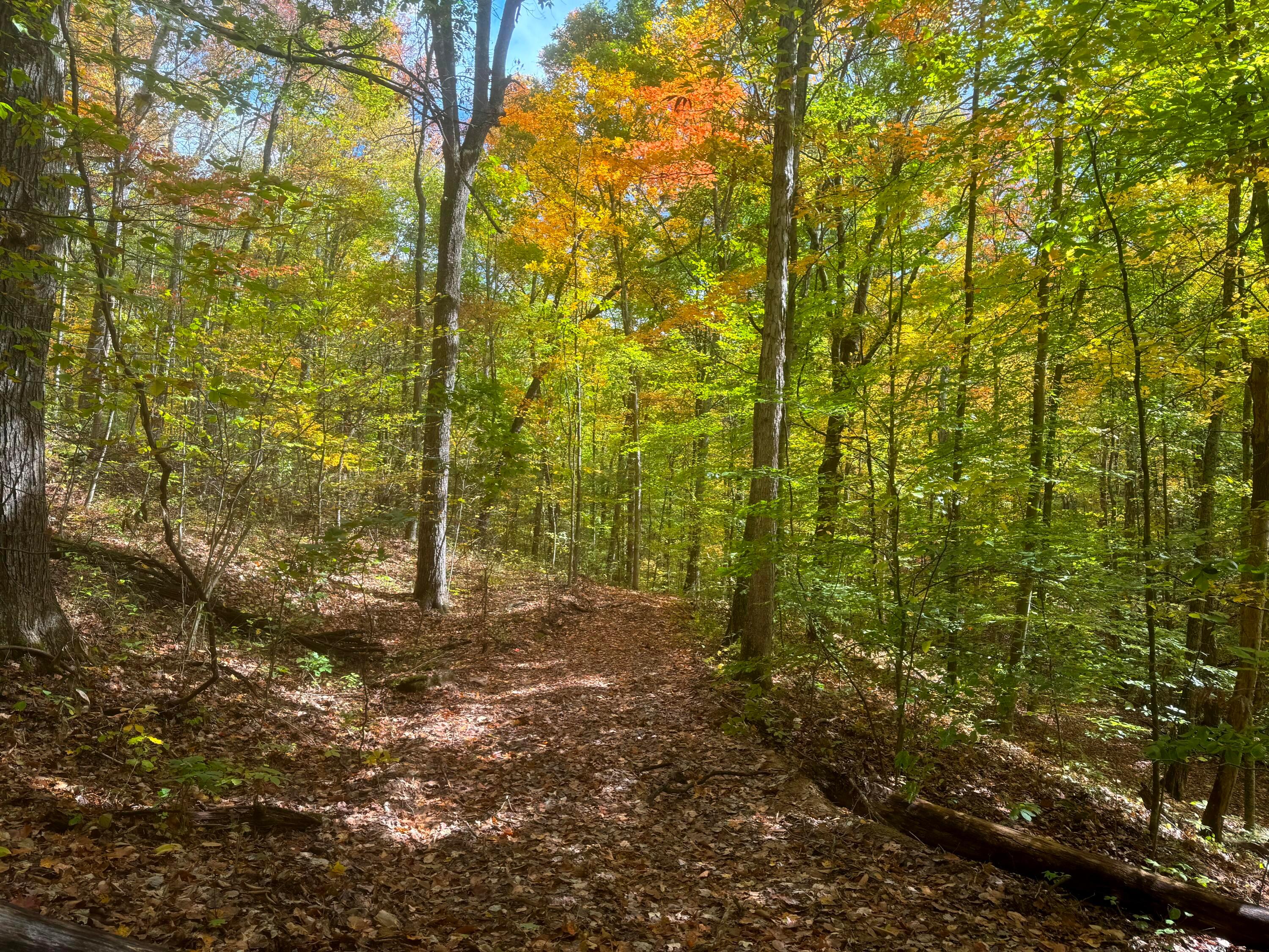 Township Rd 215-a #TRACT 5 AT SHAWNEE WOODS, Corning, Ohio image 2