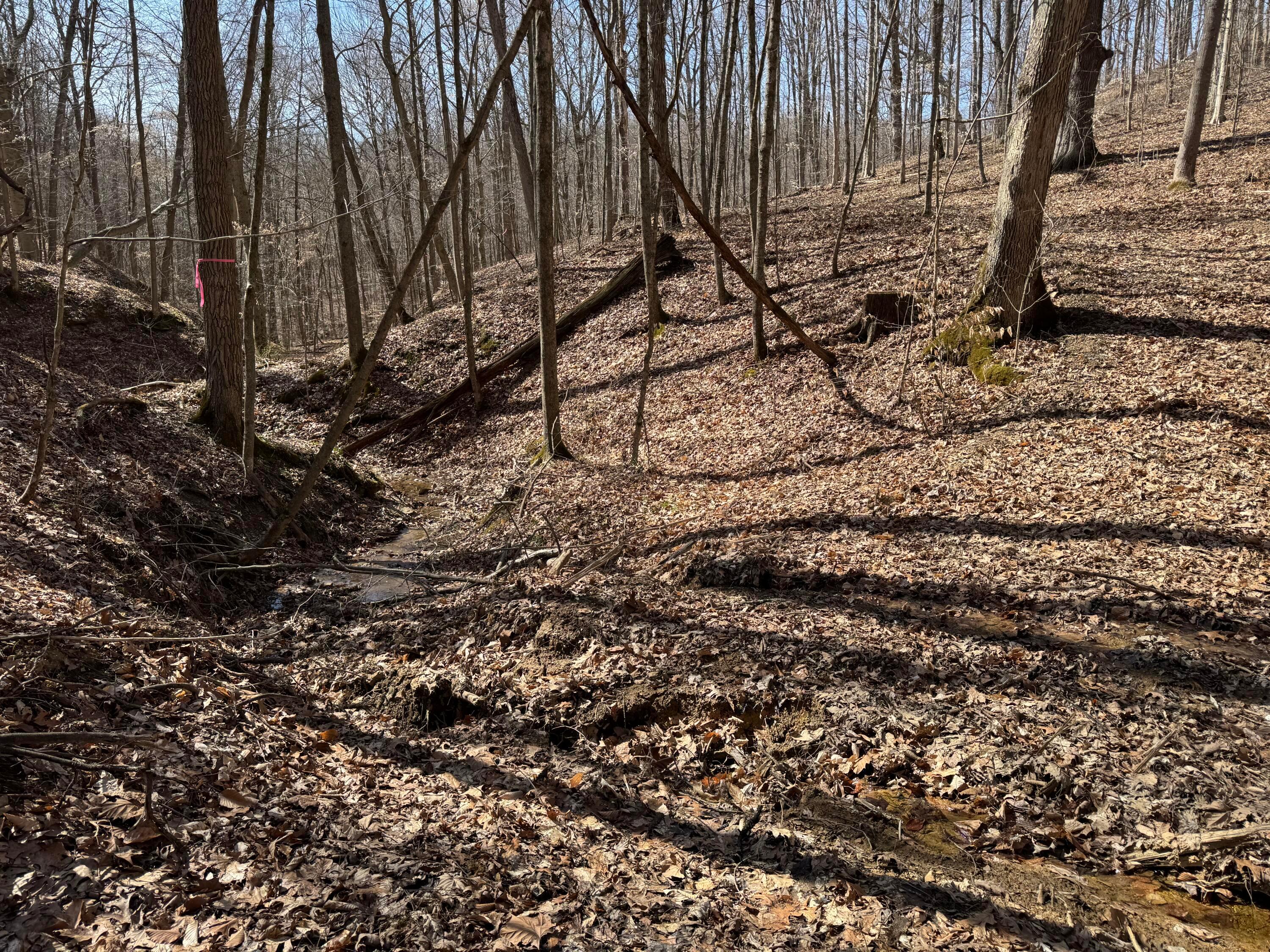 Township Rd 215-a #TRACT 5 AT SHAWNEE WOODS, Corning, Ohio image 24