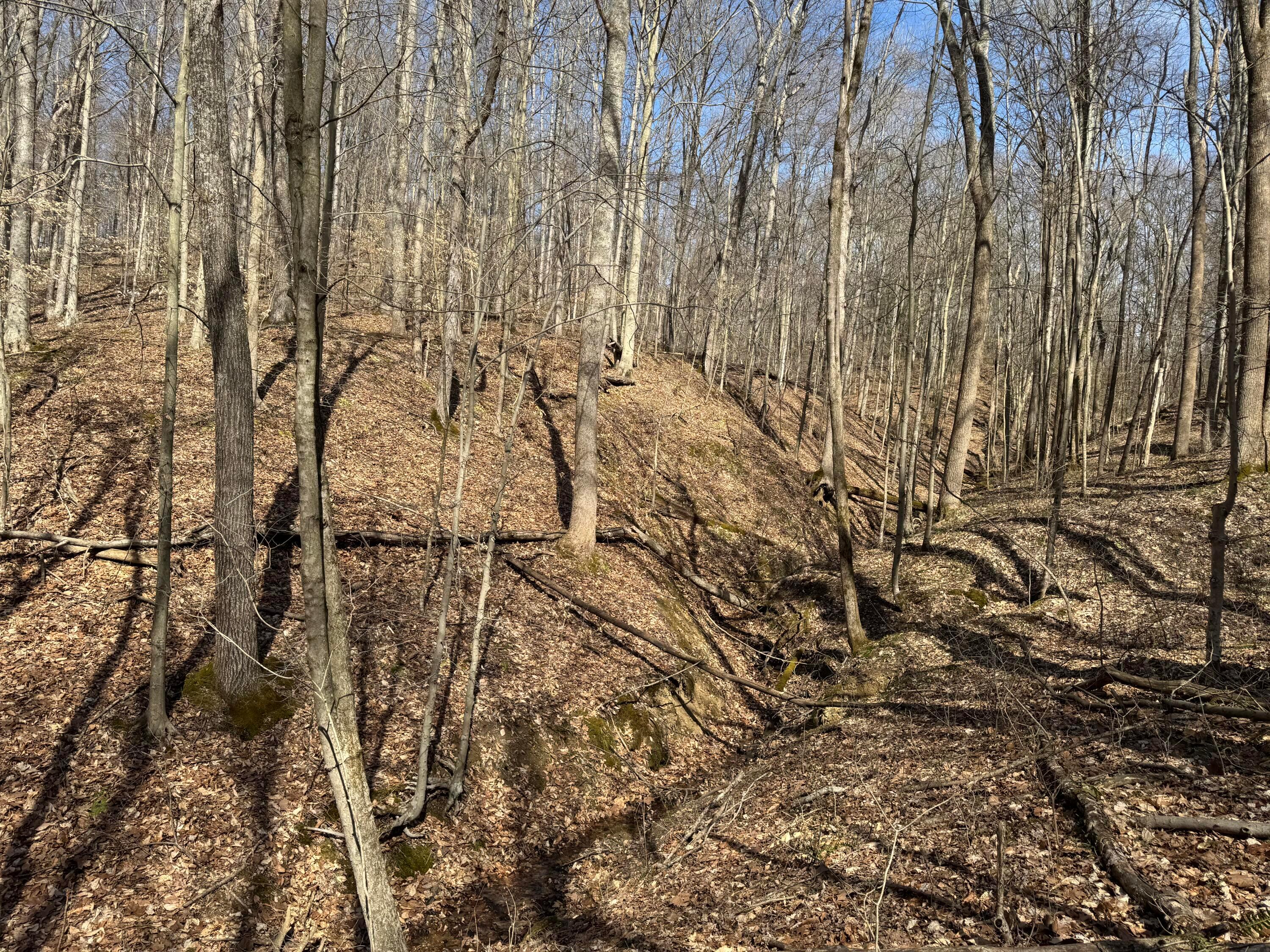 Township Rd 215-a #TRACT 5 AT SHAWNEE WOODS, Corning, Ohio image 23