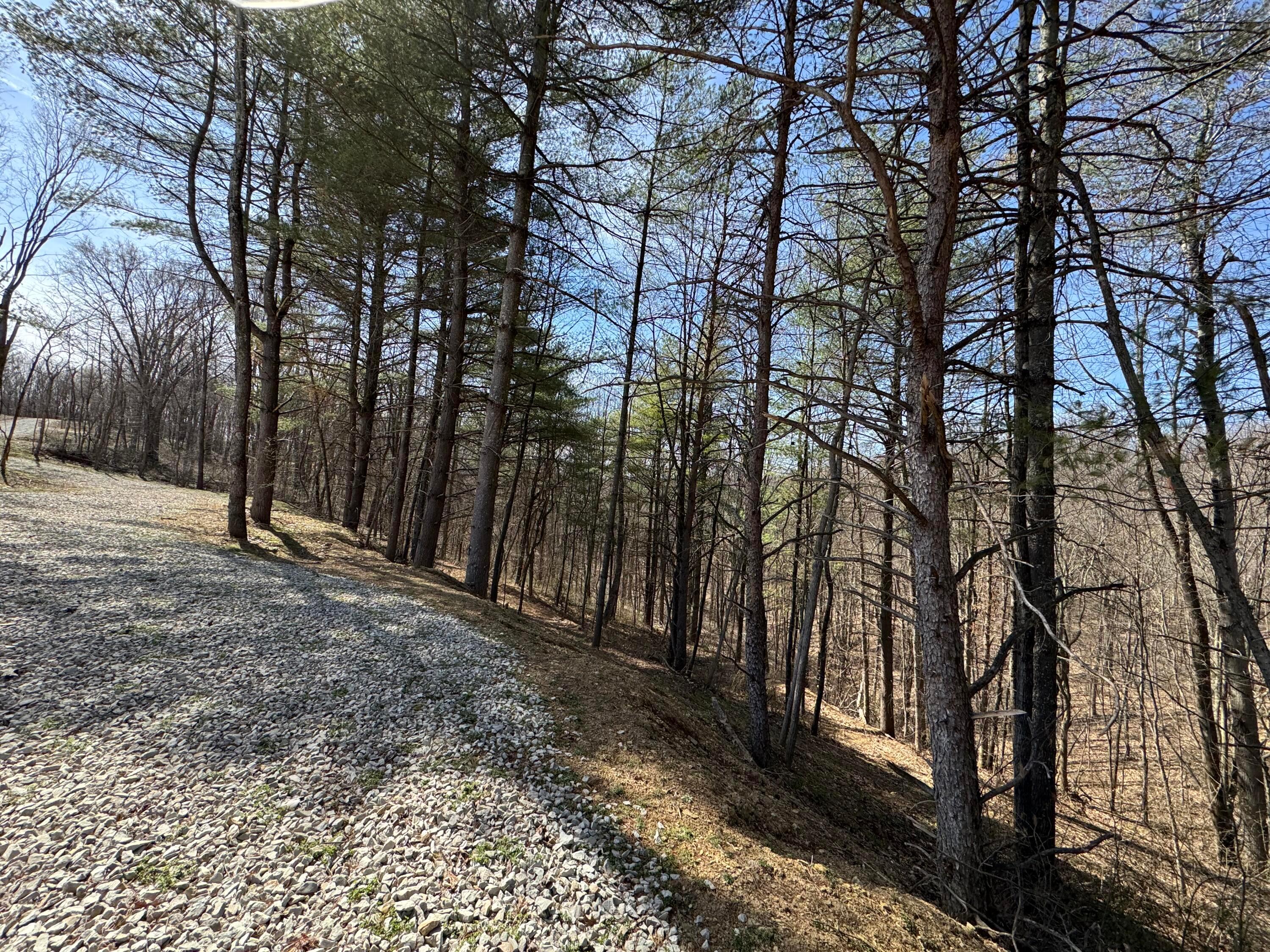 Township Rd 215-a #TRACT 5 AT SHAWNEE WOODS, Corning, Ohio image 48