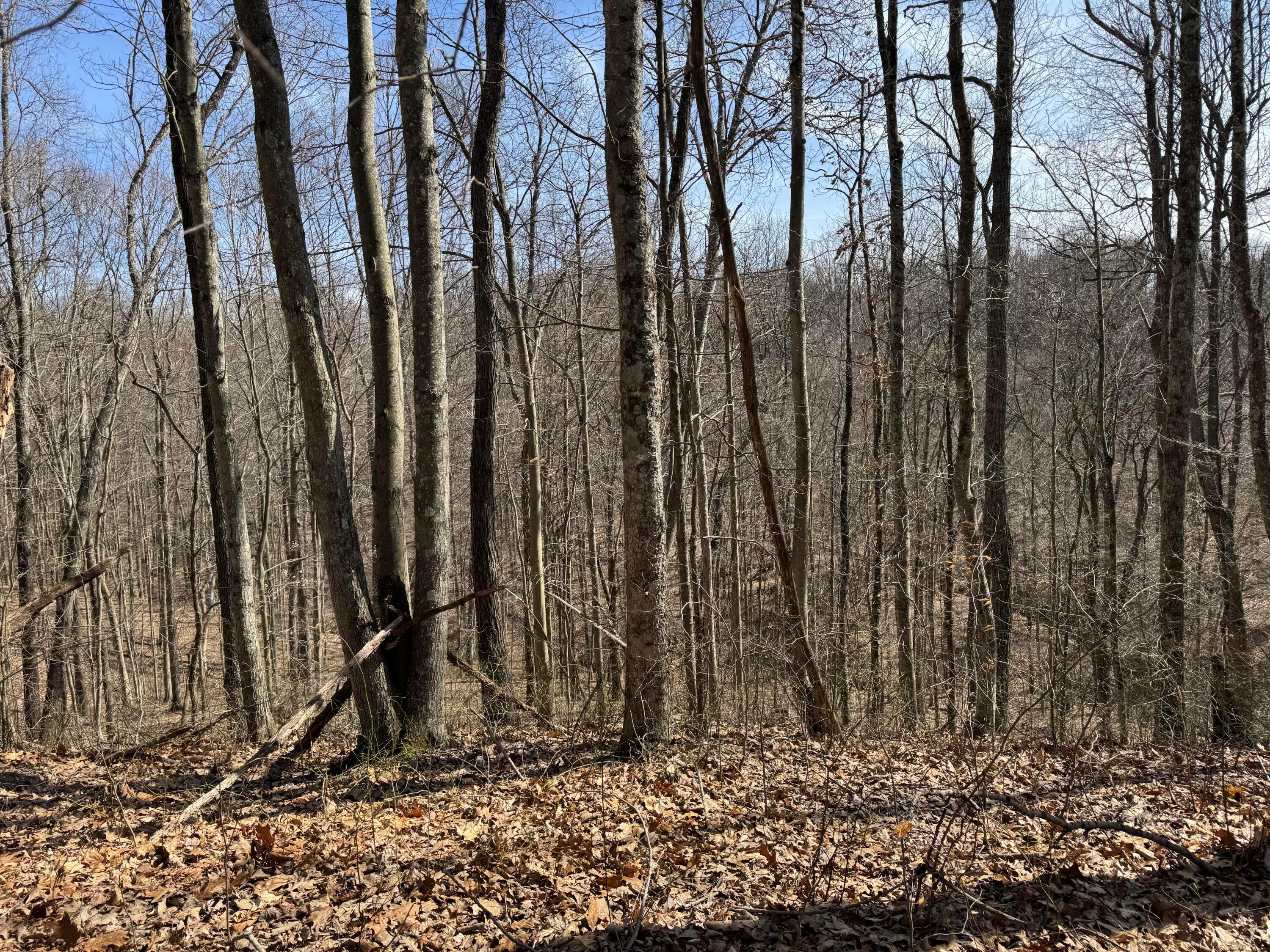 Township Rd 215-a #TRACT 5 AT SHAWNEE WOODS, Corning, Ohio image 29