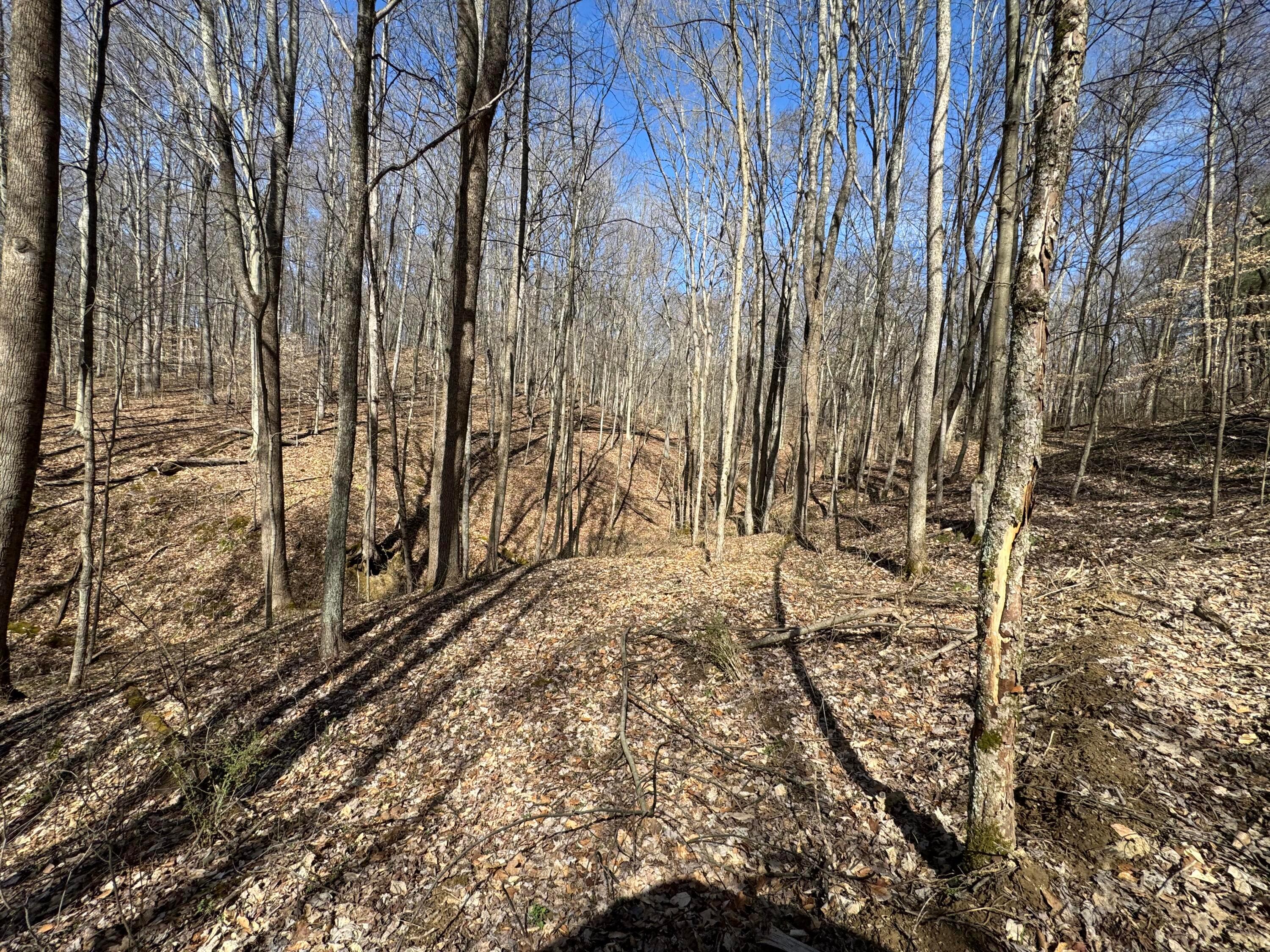 Township Rd 215-a #TRACT 5 AT SHAWNEE WOODS, Corning, Ohio image 39