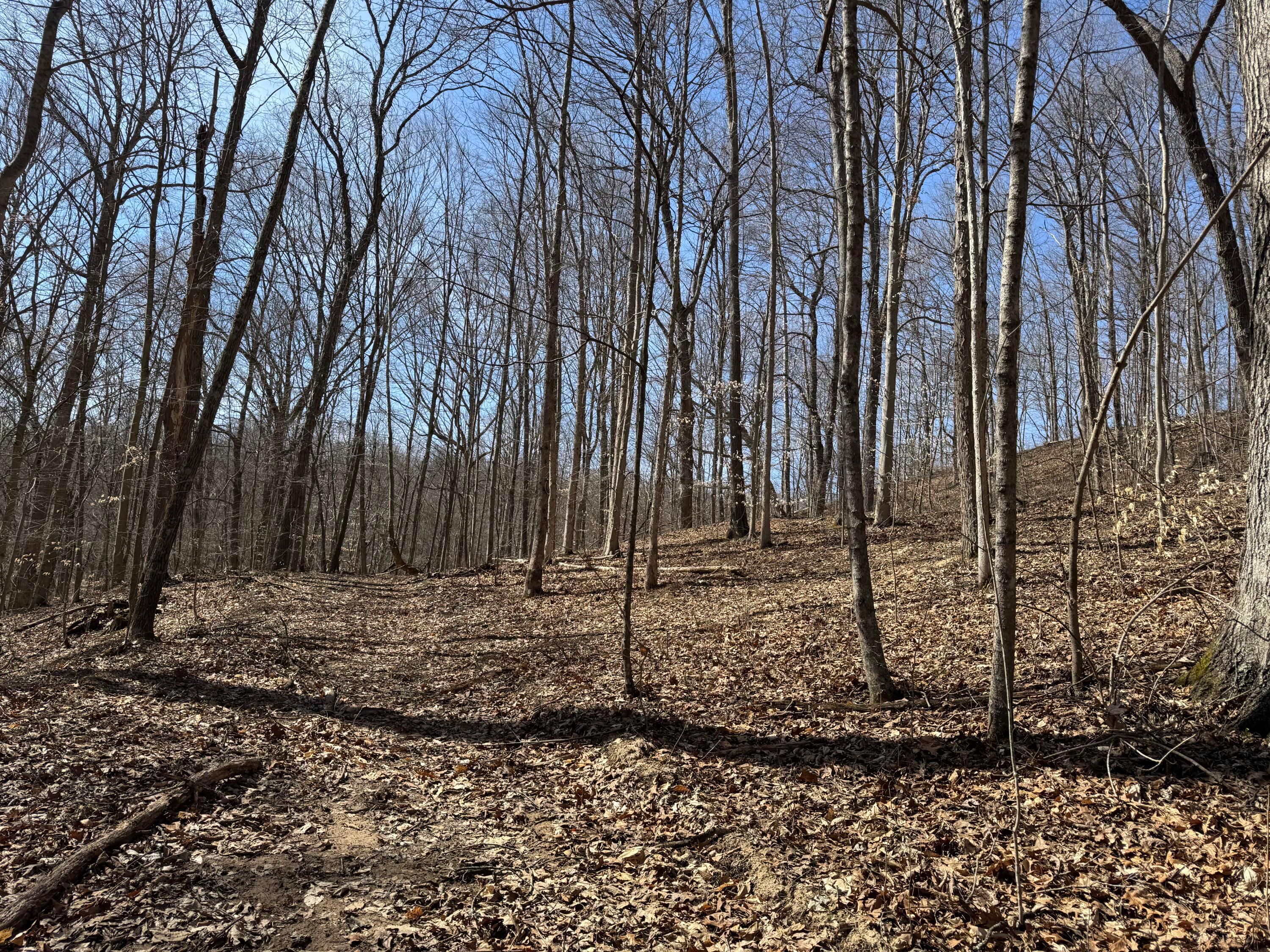 Township Rd 215-a #TRACT 5 AT SHAWNEE WOODS, Corning, Ohio image 25