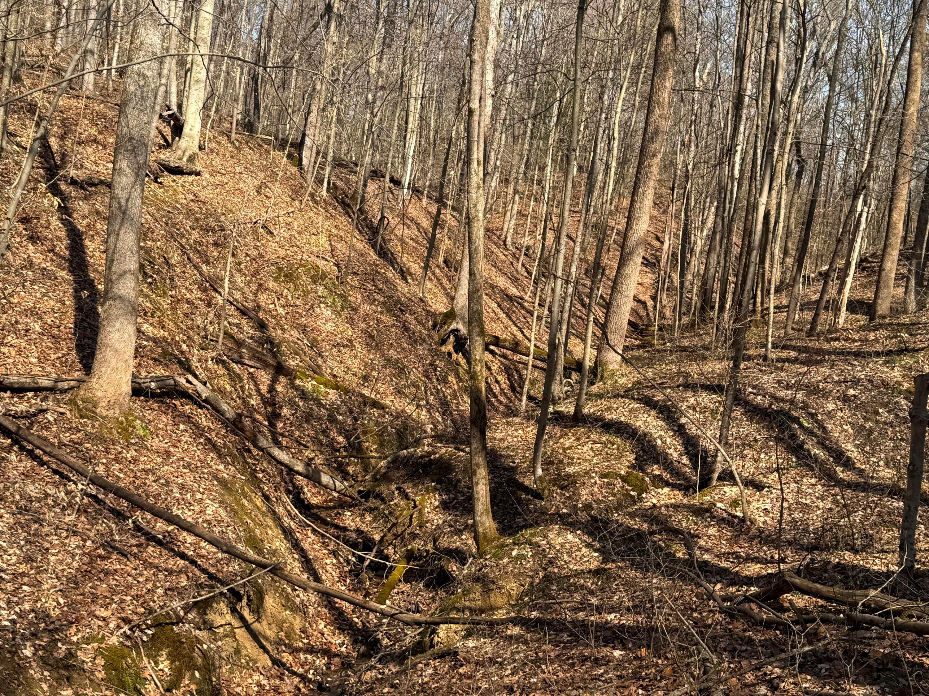 Township Rd 215-a #TRACT 5 AT SHAWNEE WOODS, Corning, Ohio image 22