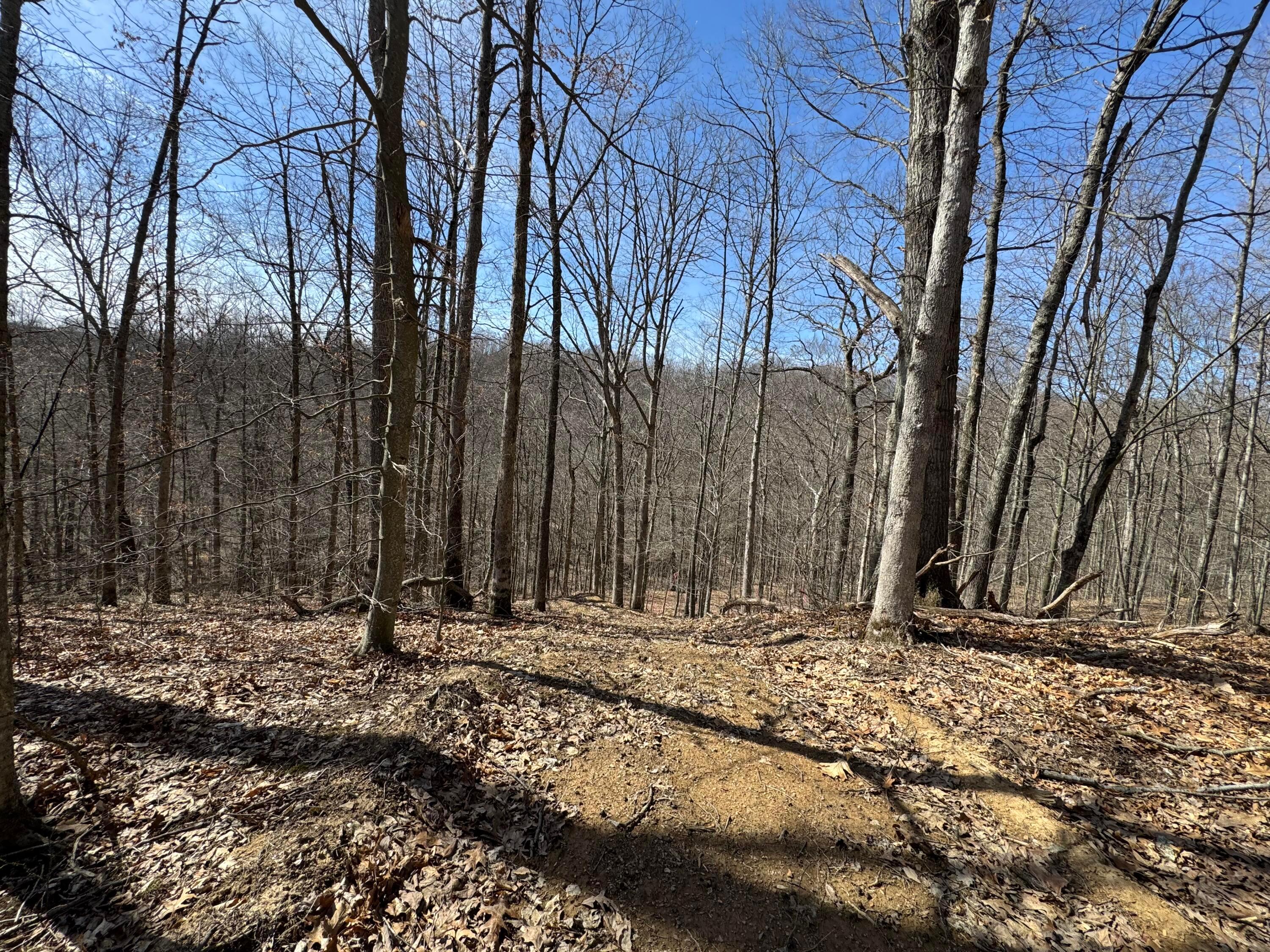 Township Rd 215-a #TRACT 5 AT SHAWNEE WOODS, Corning, Ohio image 33