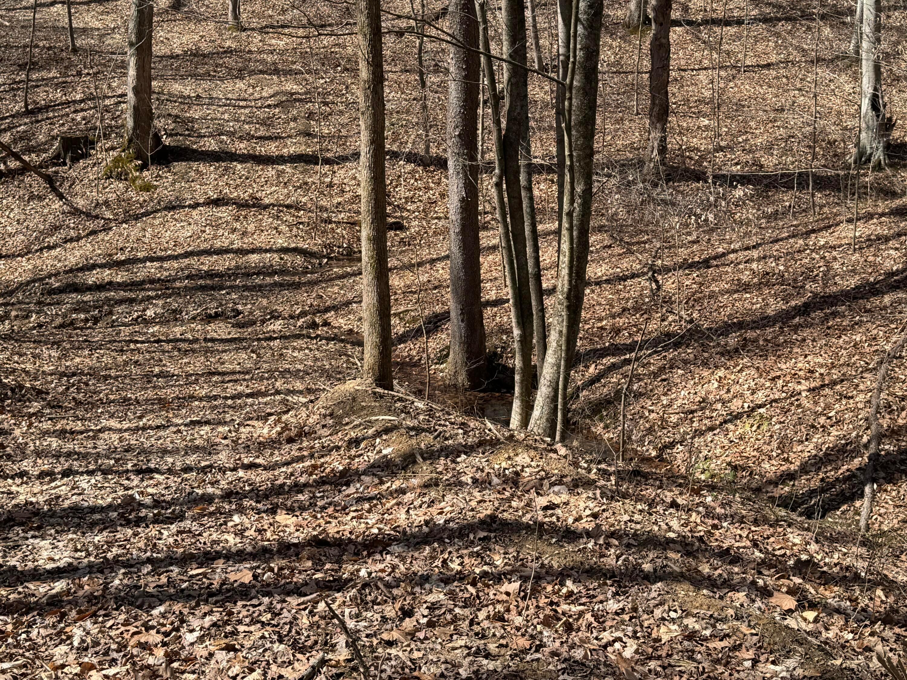 Township Rd 215-a #TRACT 5 AT SHAWNEE WOODS, Corning, Ohio image 19