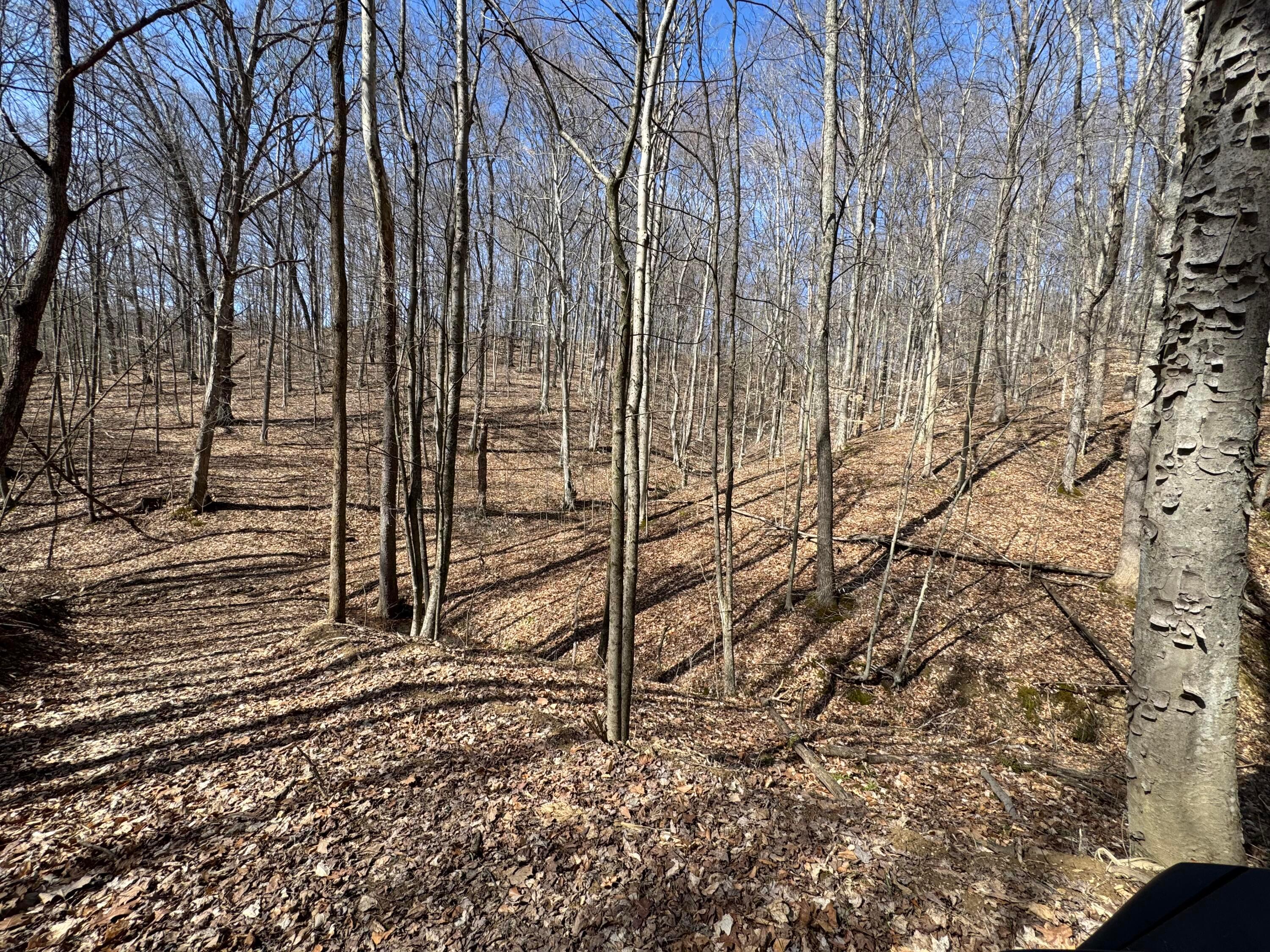 Township Rd 215-a #TRACT 5 AT SHAWNEE WOODS, Corning, Ohio image 5