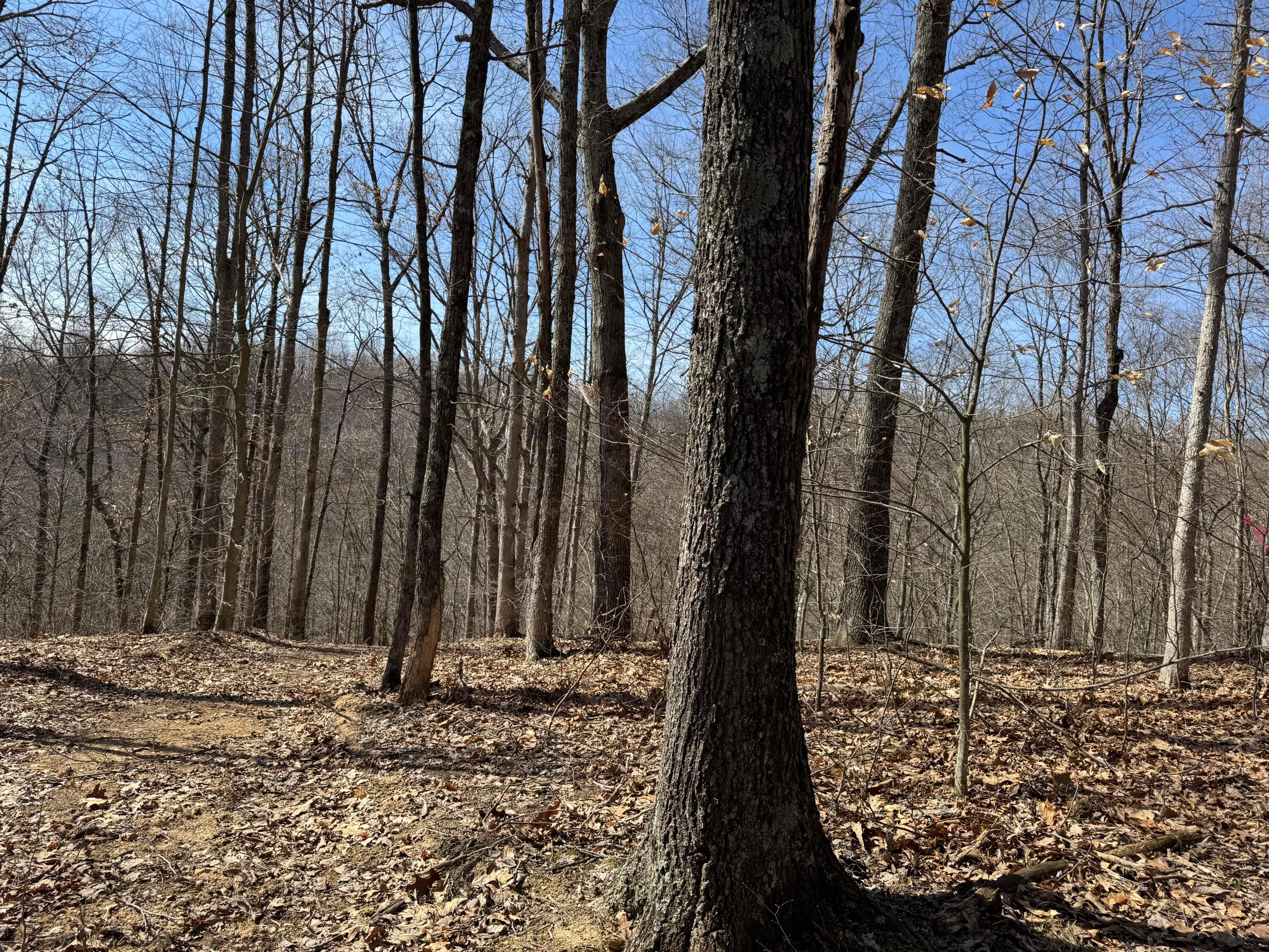 Township Rd 215-a #TRACT 5 AT SHAWNEE WOODS, Corning, Ohio image 31