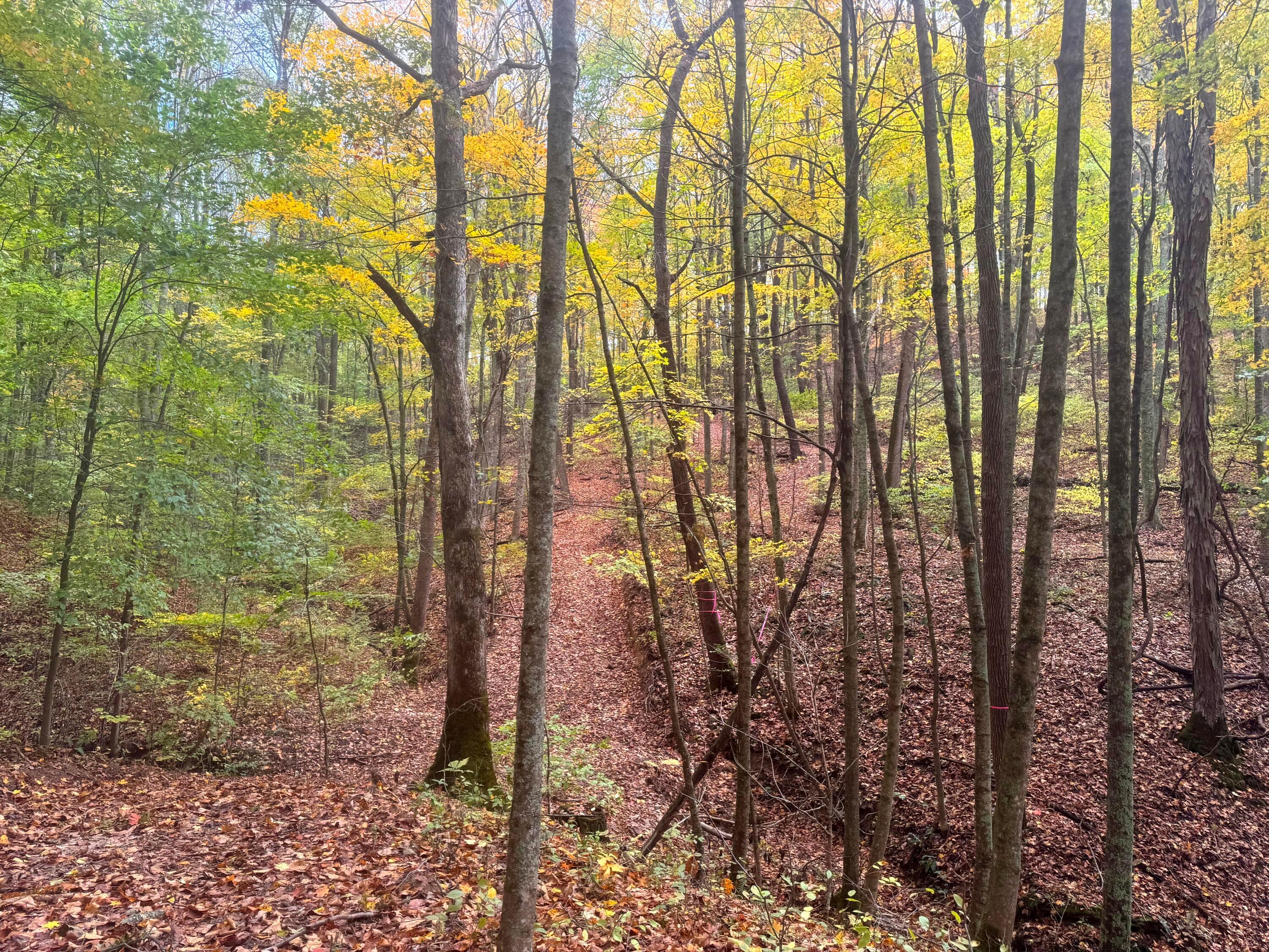 Township Rd 215-a #TRACT 5 AT SHAWNEE WOODS, Corning, Ohio image 4
