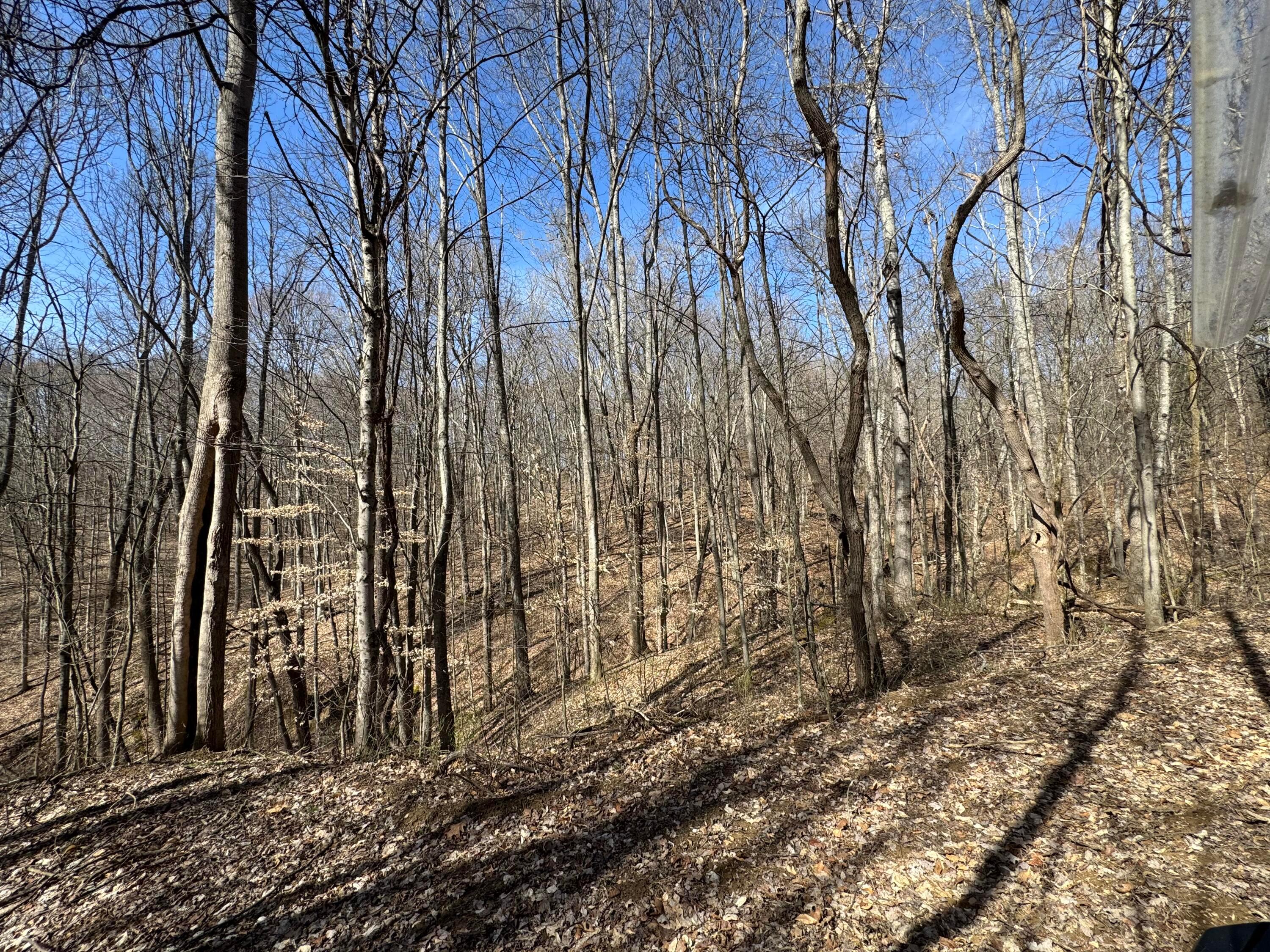 Township Rd 215-a #TRACT 5 AT SHAWNEE WOODS, Corning, Ohio image 18