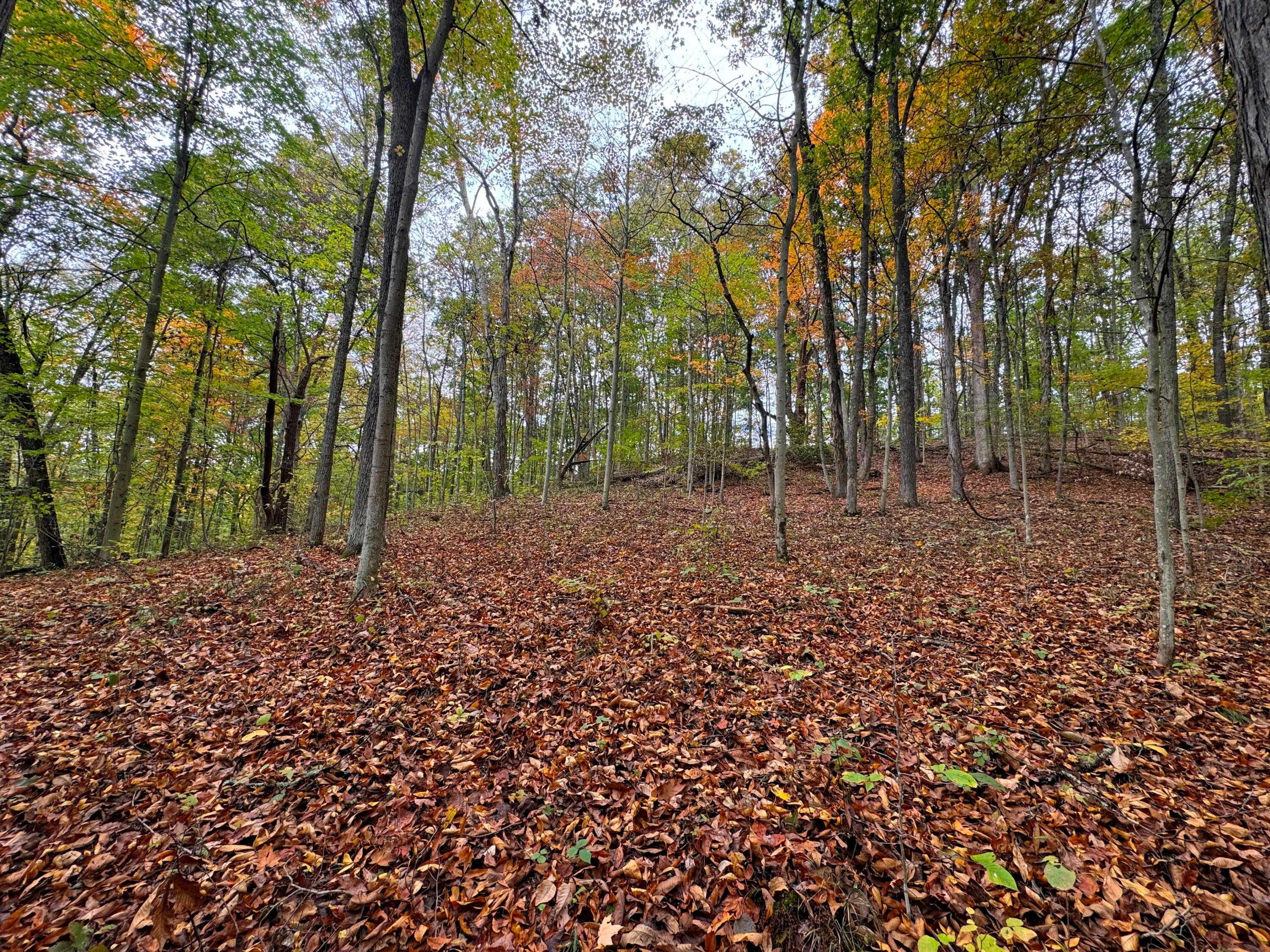Township Rd 215-a #TRACT 5 AT SHAWNEE WOODS, Corning, Ohio image 3