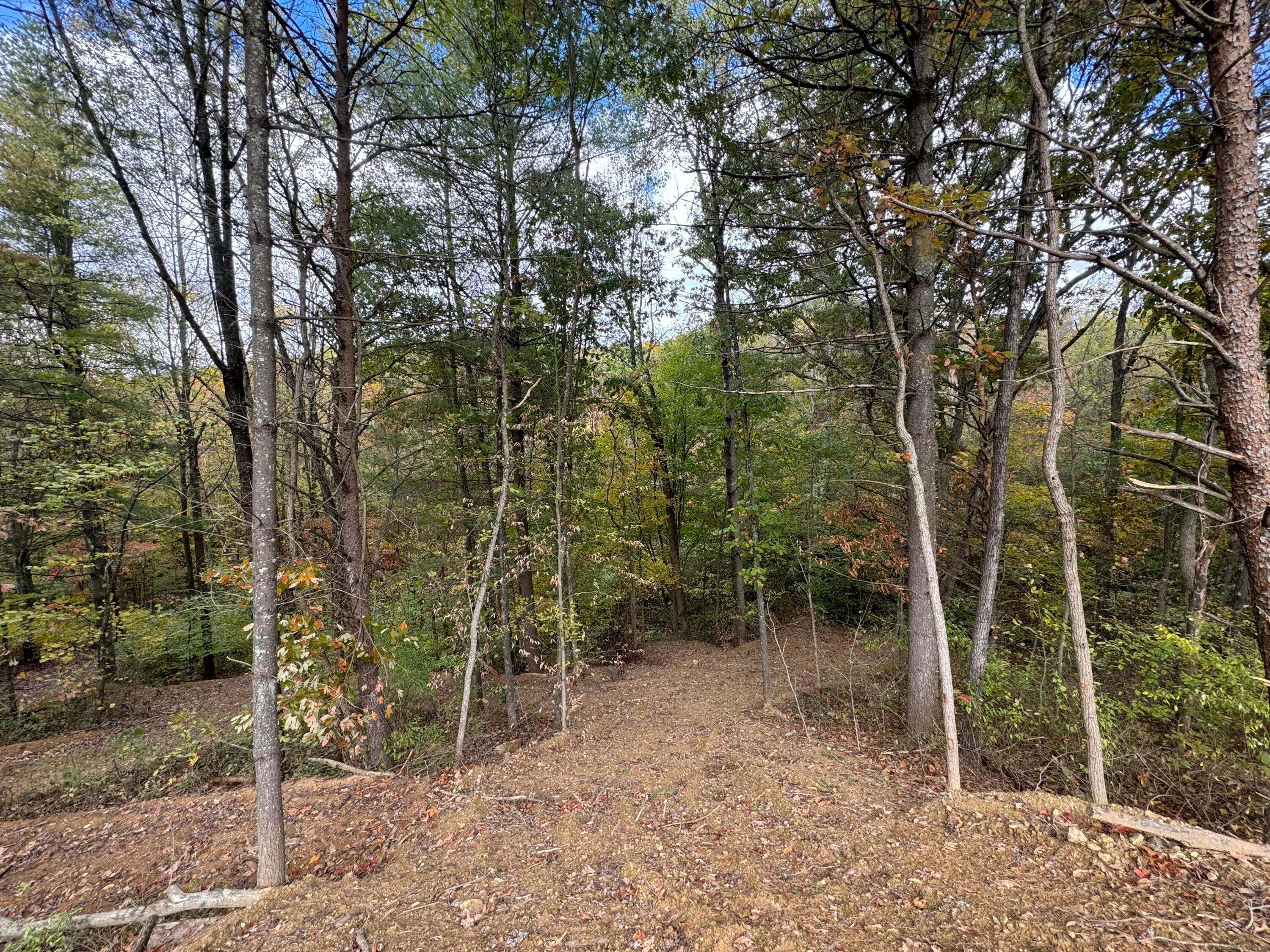 Township Rd 215-a #TRACT 5 AT SHAWNEE WOODS, Corning, Ohio image 12