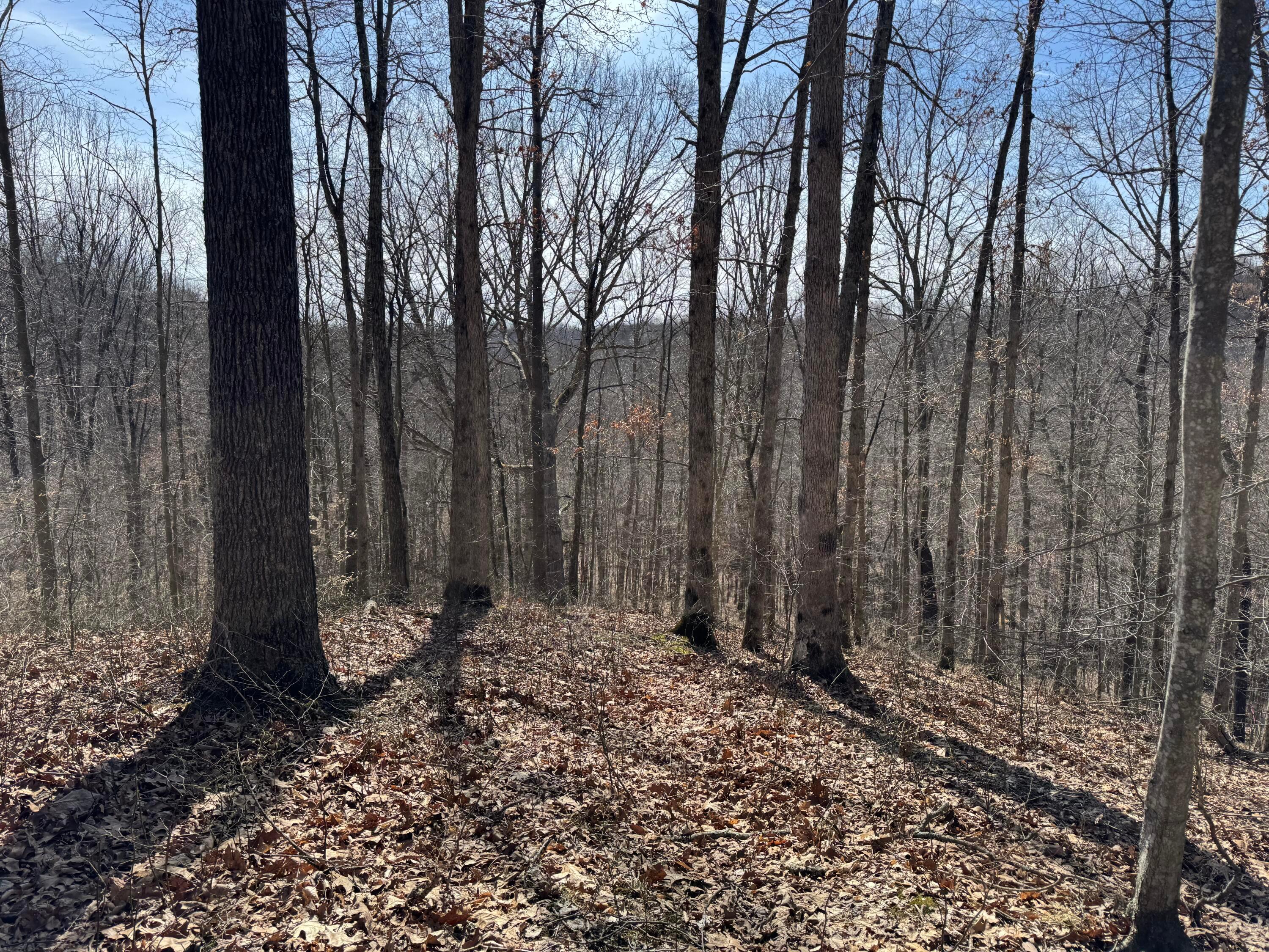 Township Rd 215-a #TRACT 5 AT SHAWNEE WOODS, Corning, Ohio image 30