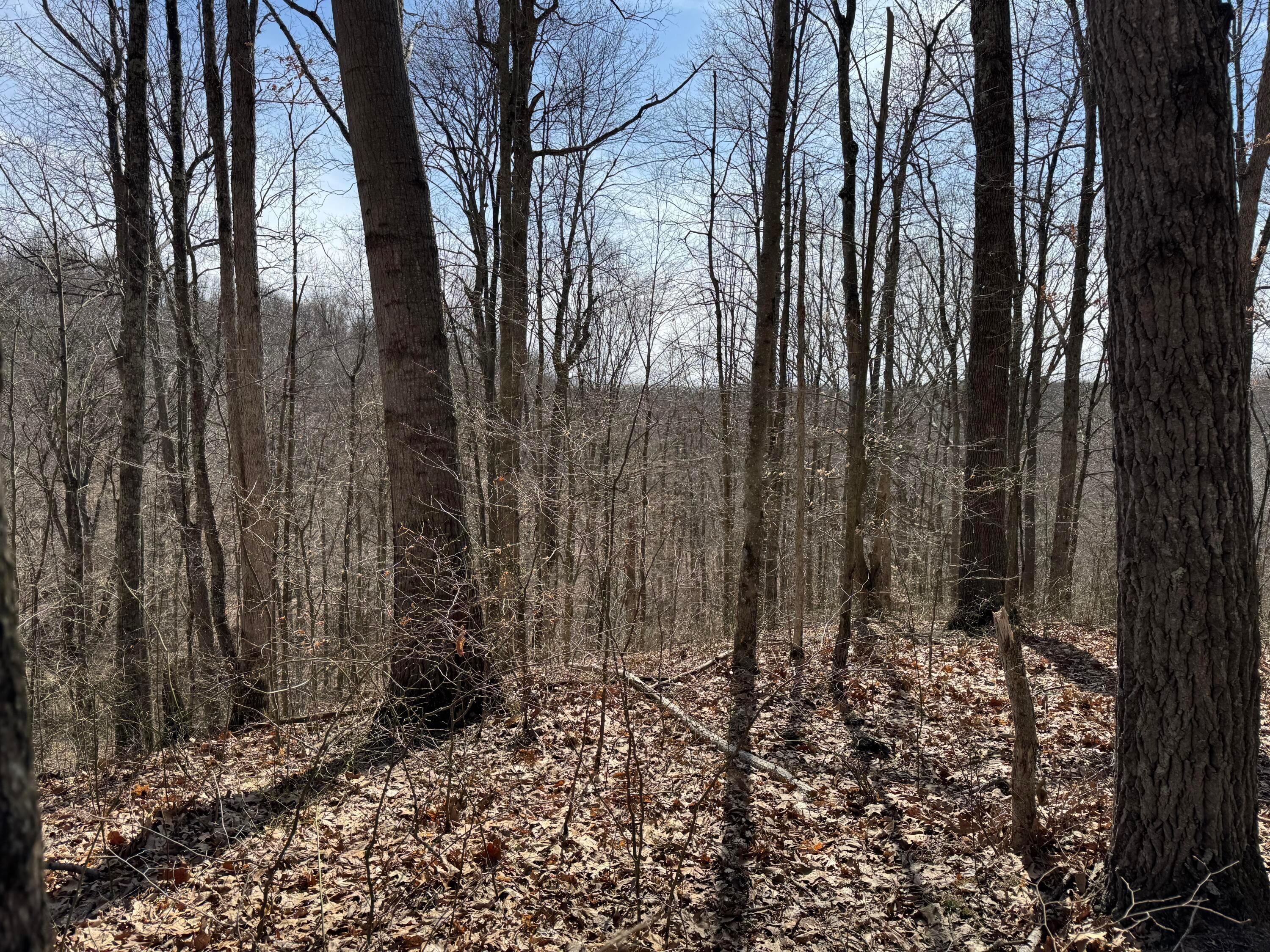 Township Rd 215-a #TRACT 5 AT SHAWNEE WOODS, Corning, Ohio image 28