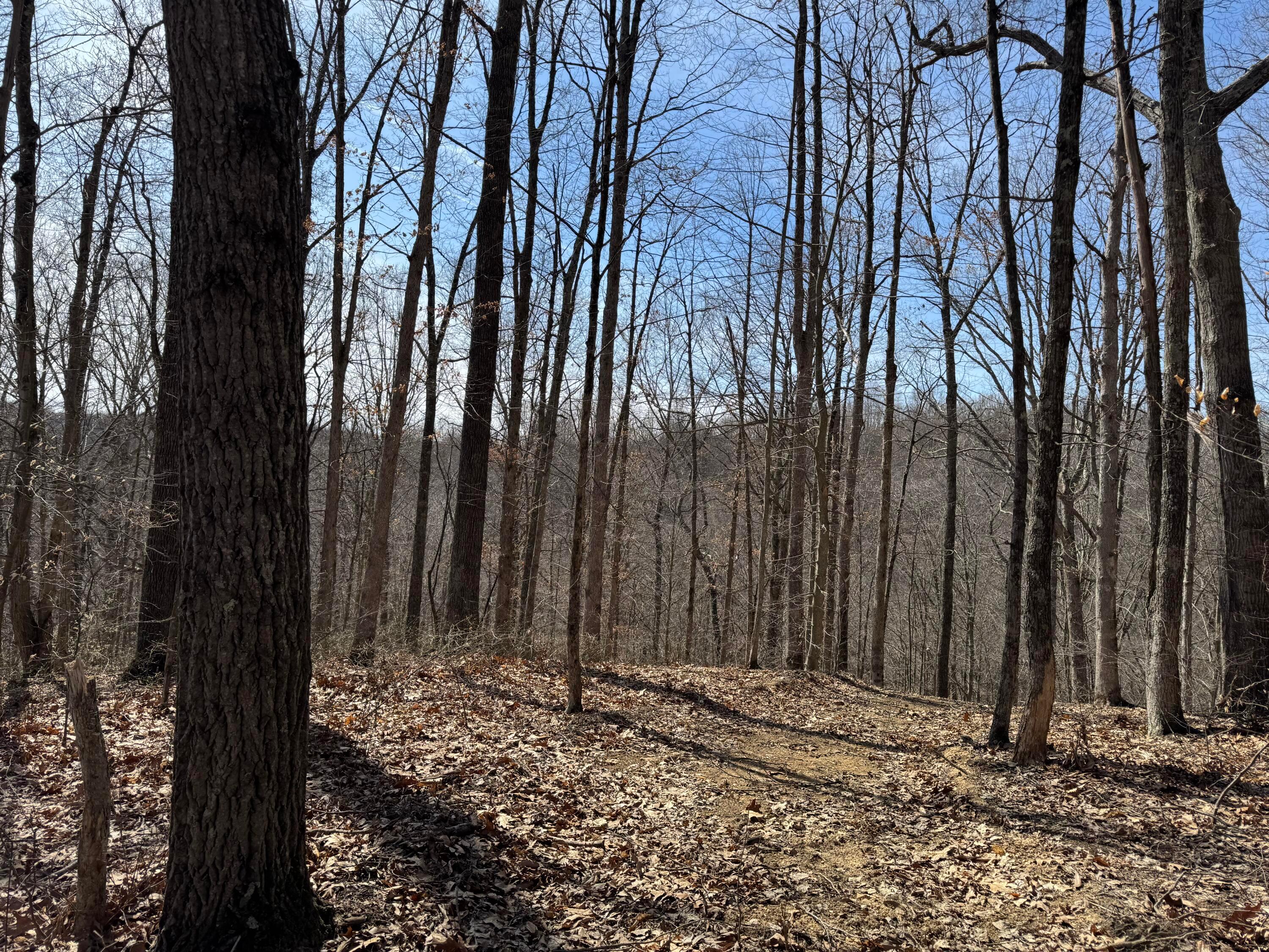 Township Rd 215-a #TRACT 5 AT SHAWNEE WOODS, Corning, Ohio image 27