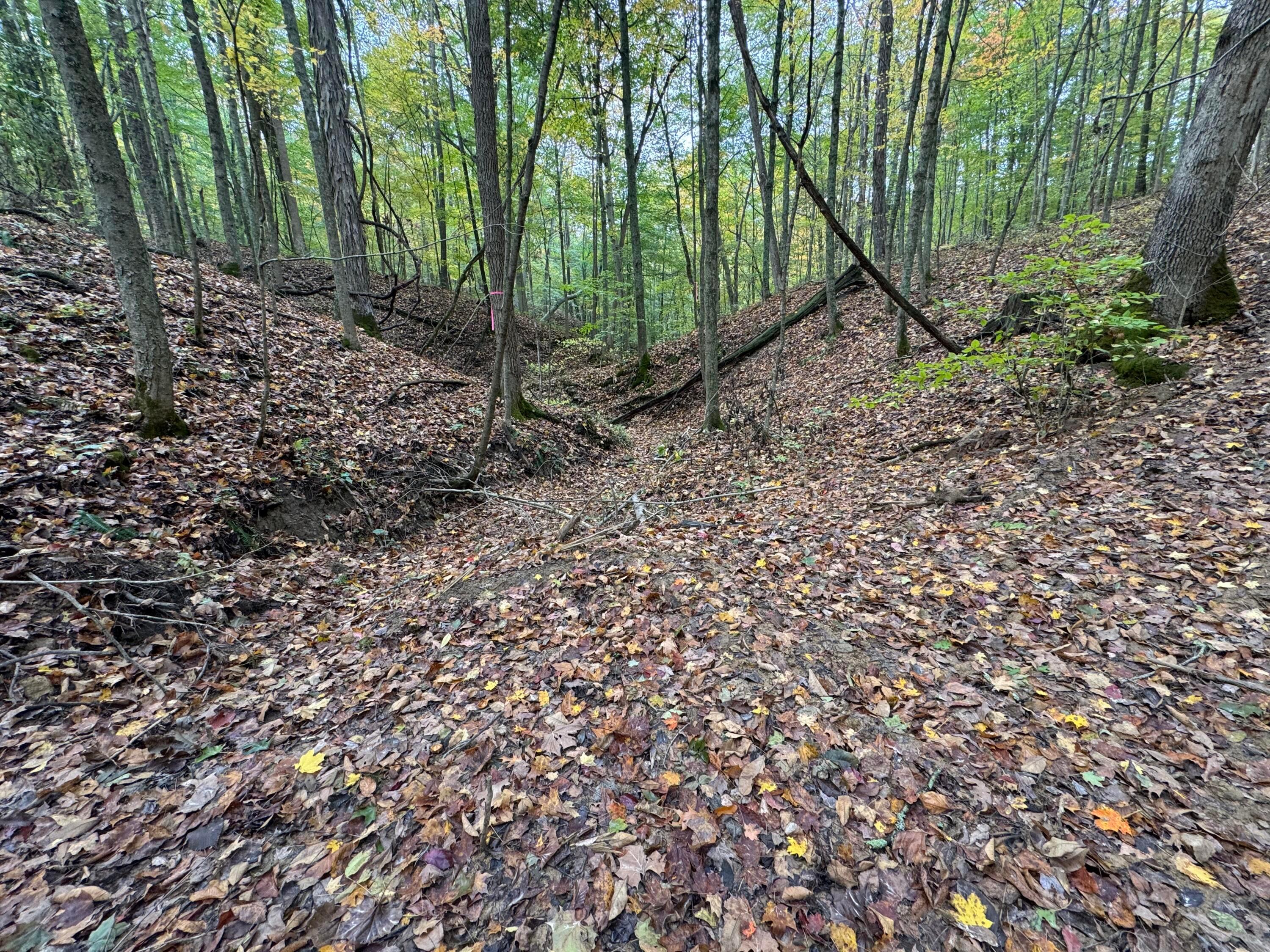 Township Rd 215-a #TRACT 5 AT SHAWNEE WOODS, Corning, Ohio image 15
