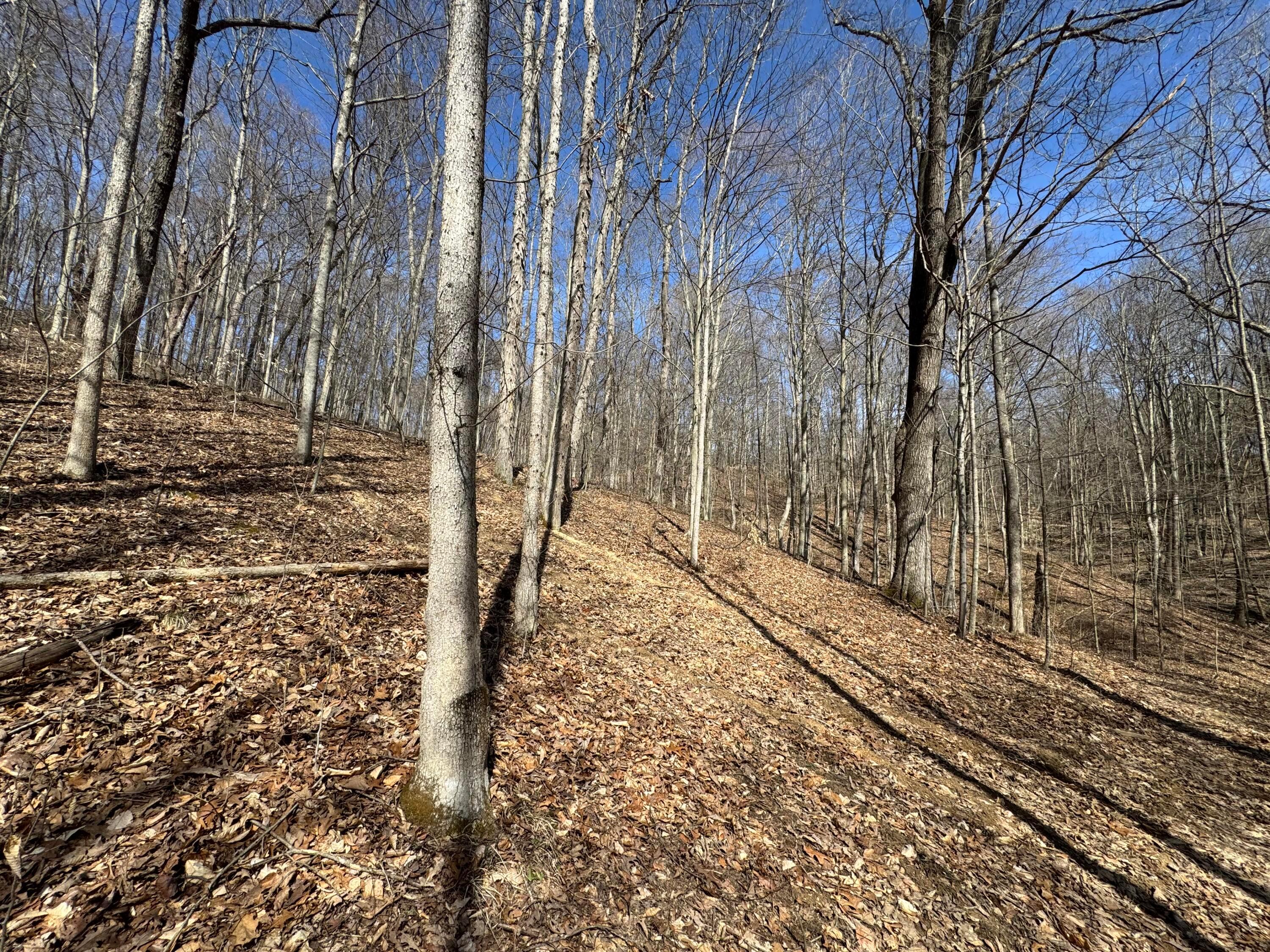 Township Rd 215-a #TRACT 5 AT SHAWNEE WOODS, Corning, Ohio image 35