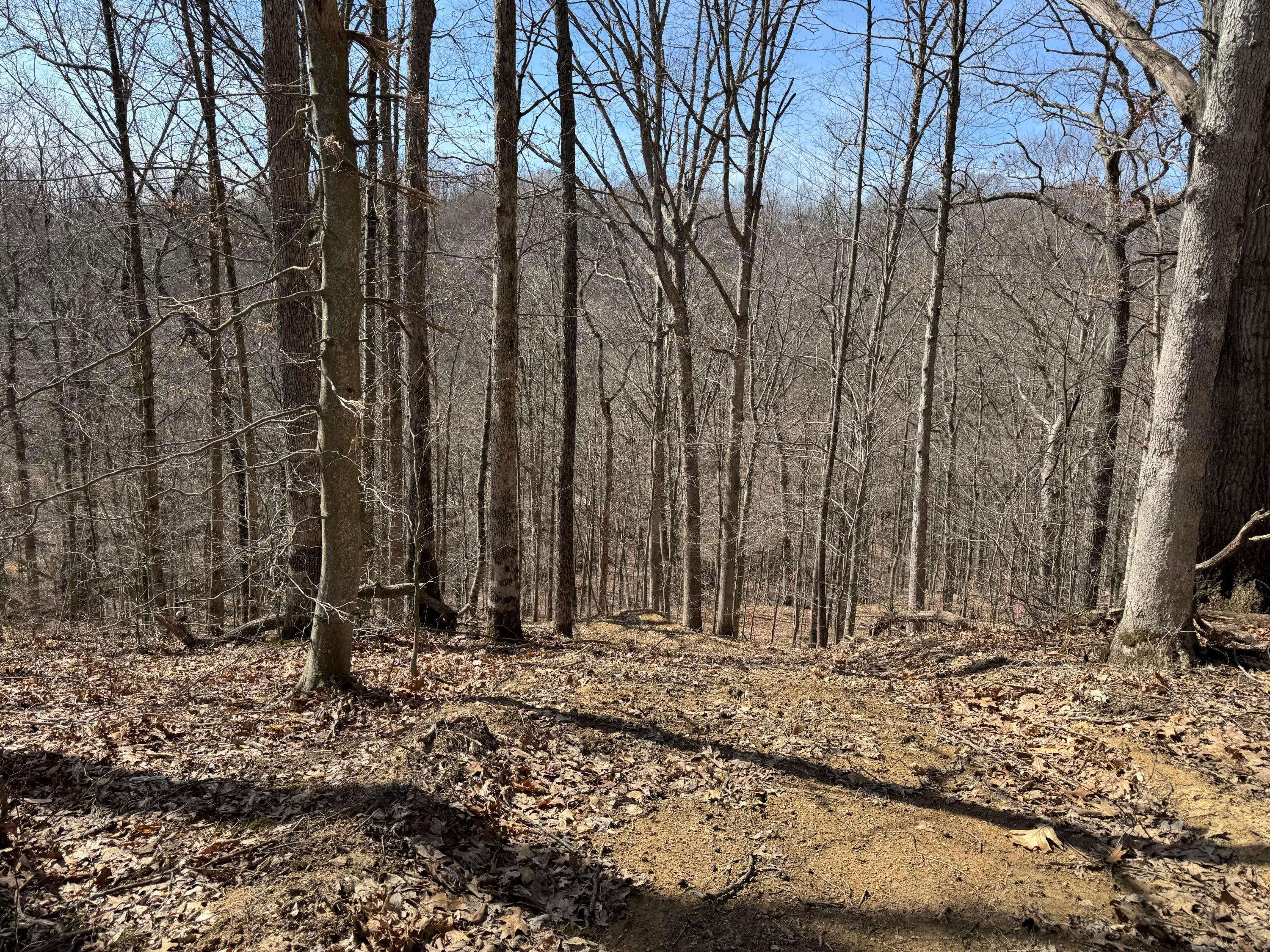 Township Rd 215-a #TRACT 5 AT SHAWNEE WOODS, Corning, Ohio image 32