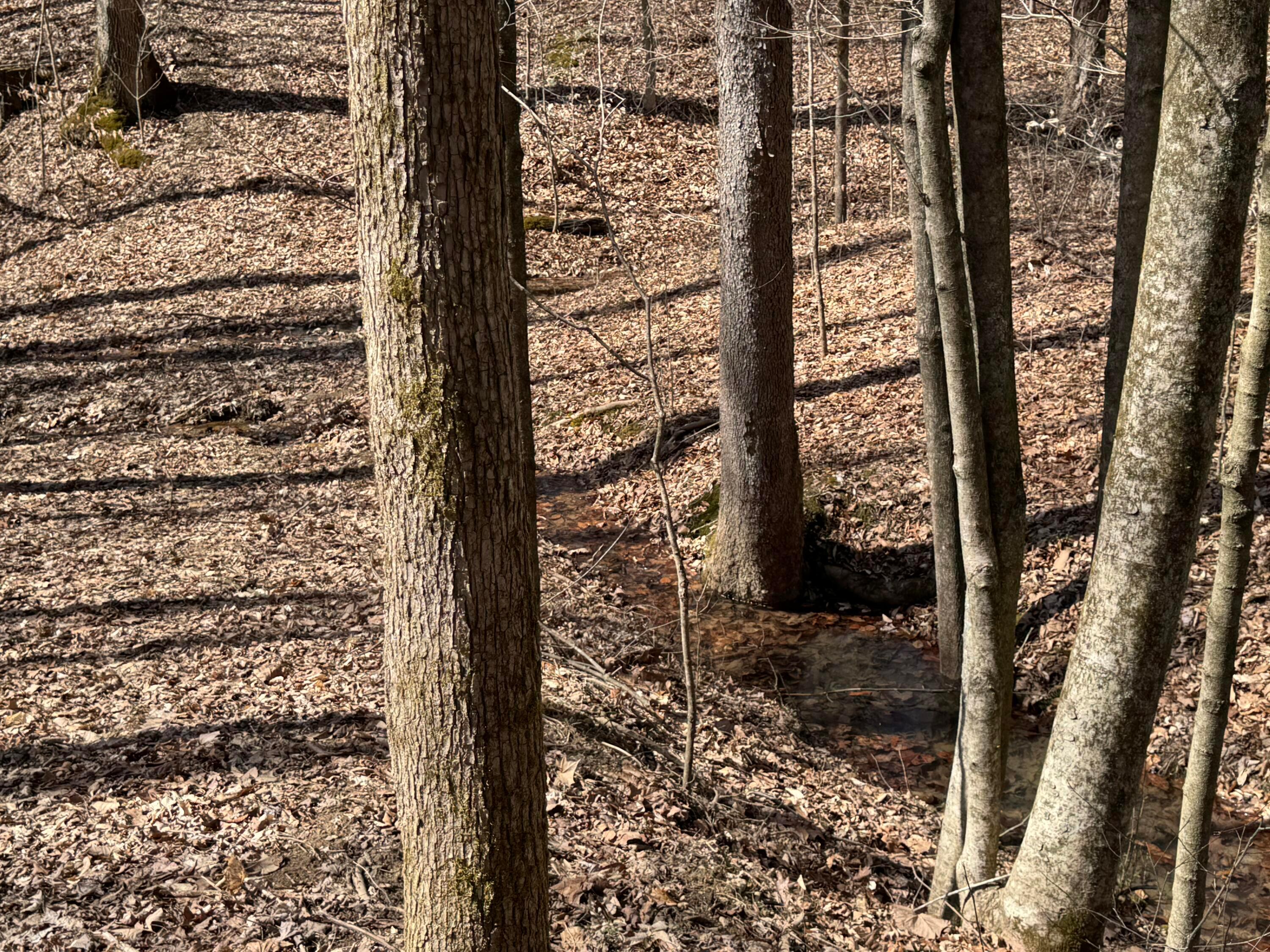 Township Rd 215-a #TRACT 5 AT SHAWNEE WOODS, Corning, Ohio image 6