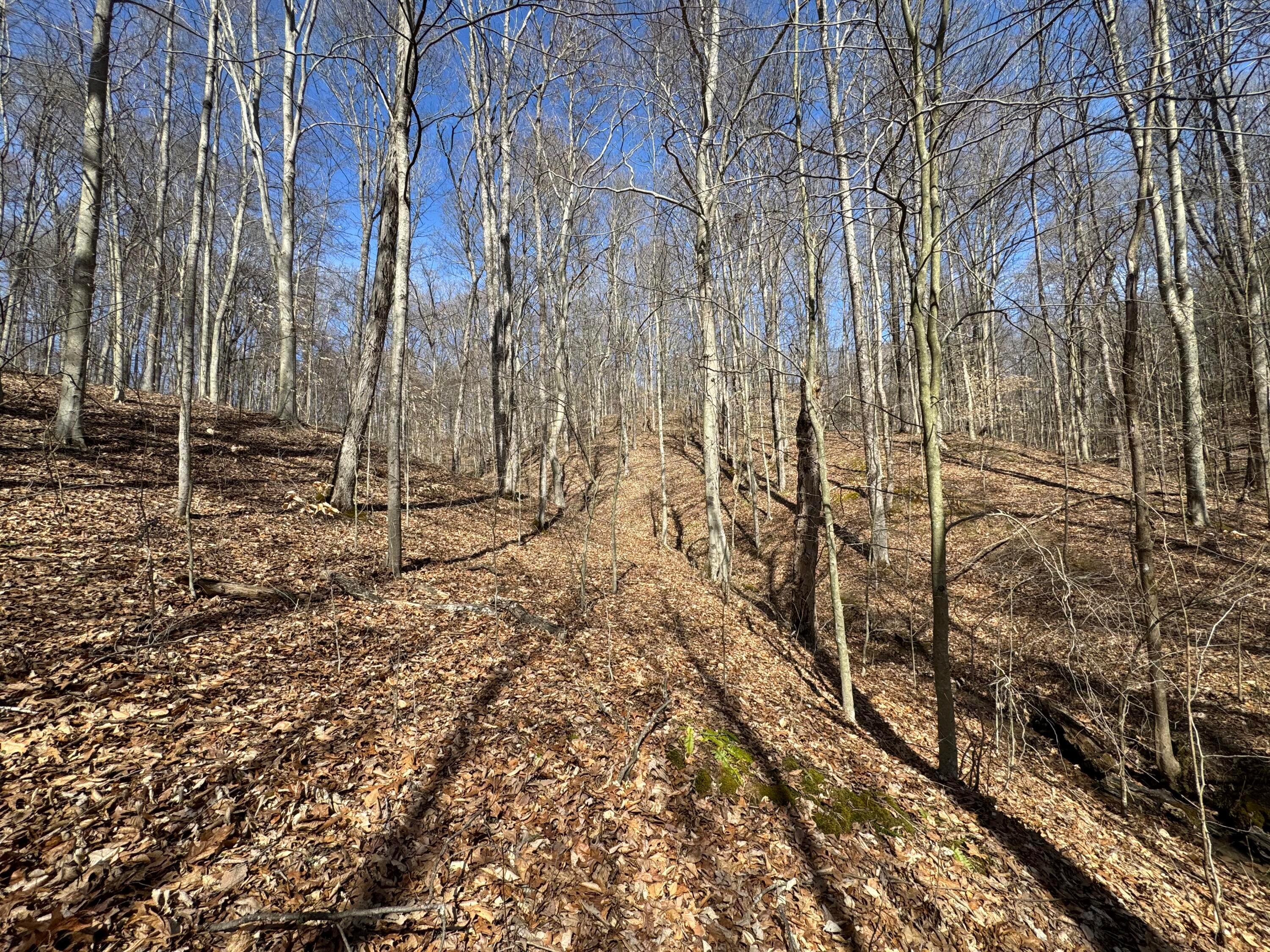 Township Rd 215-a #TRACT 5 AT SHAWNEE WOODS, Corning, Ohio image 38