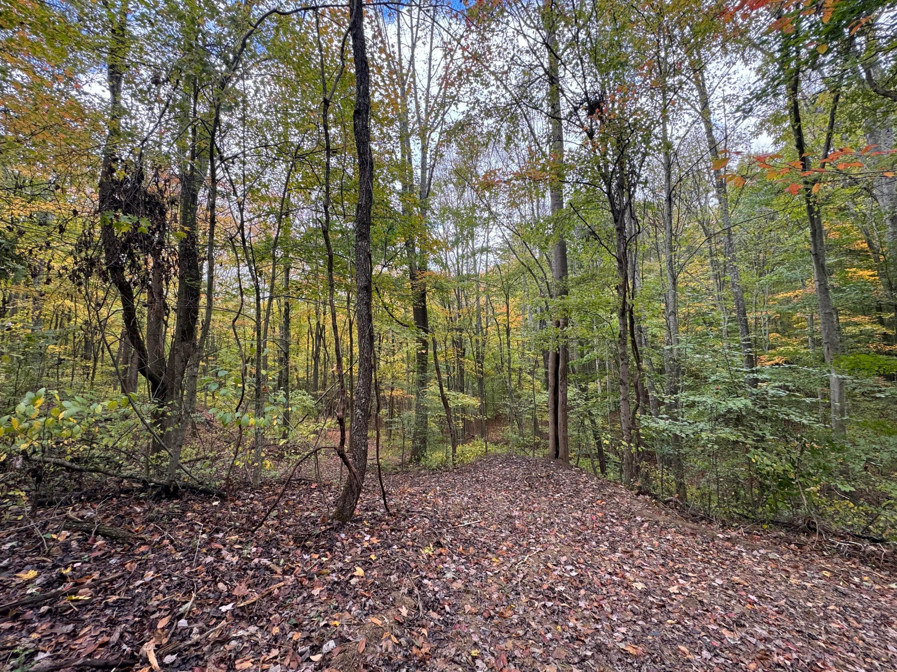 Township Rd 215-a #TRACT 5 AT SHAWNEE WOODS, Corning, Ohio image 14