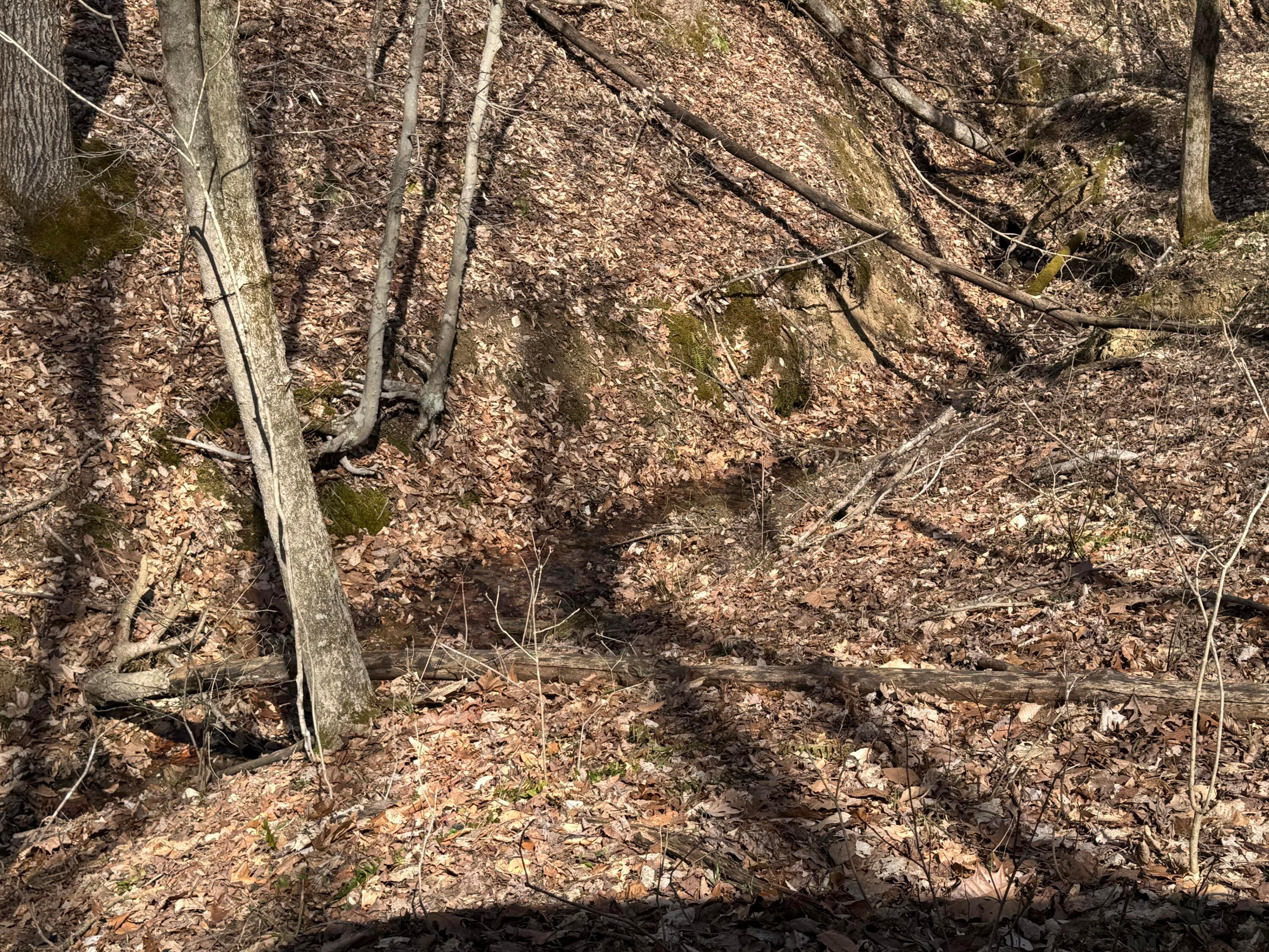 Township Rd 215-a #TRACT 5 AT SHAWNEE WOODS, Corning, Ohio image 21
