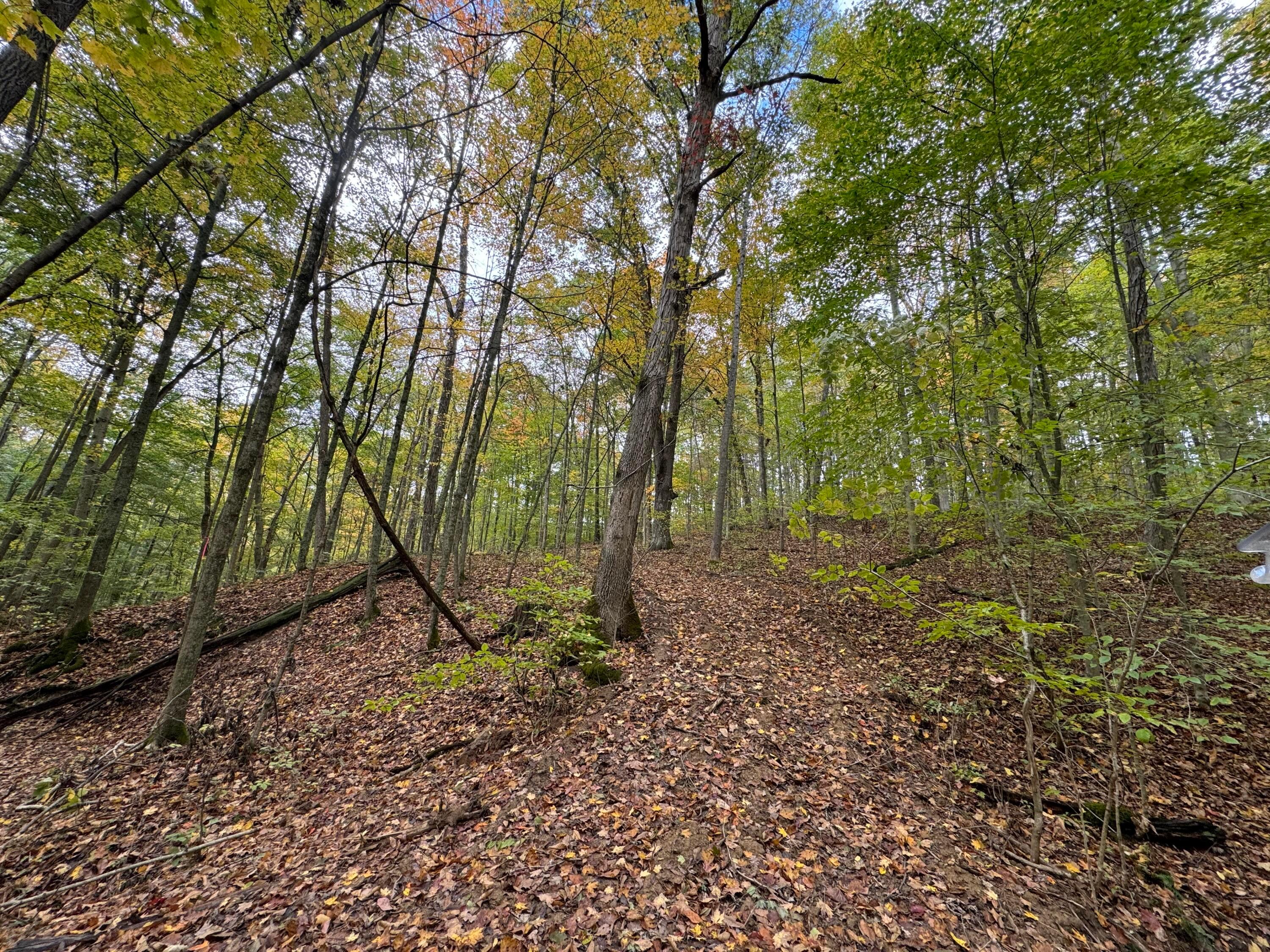 Township Rd 215-a #TRACT 5 AT SHAWNEE WOODS, Corning, Ohio image 13